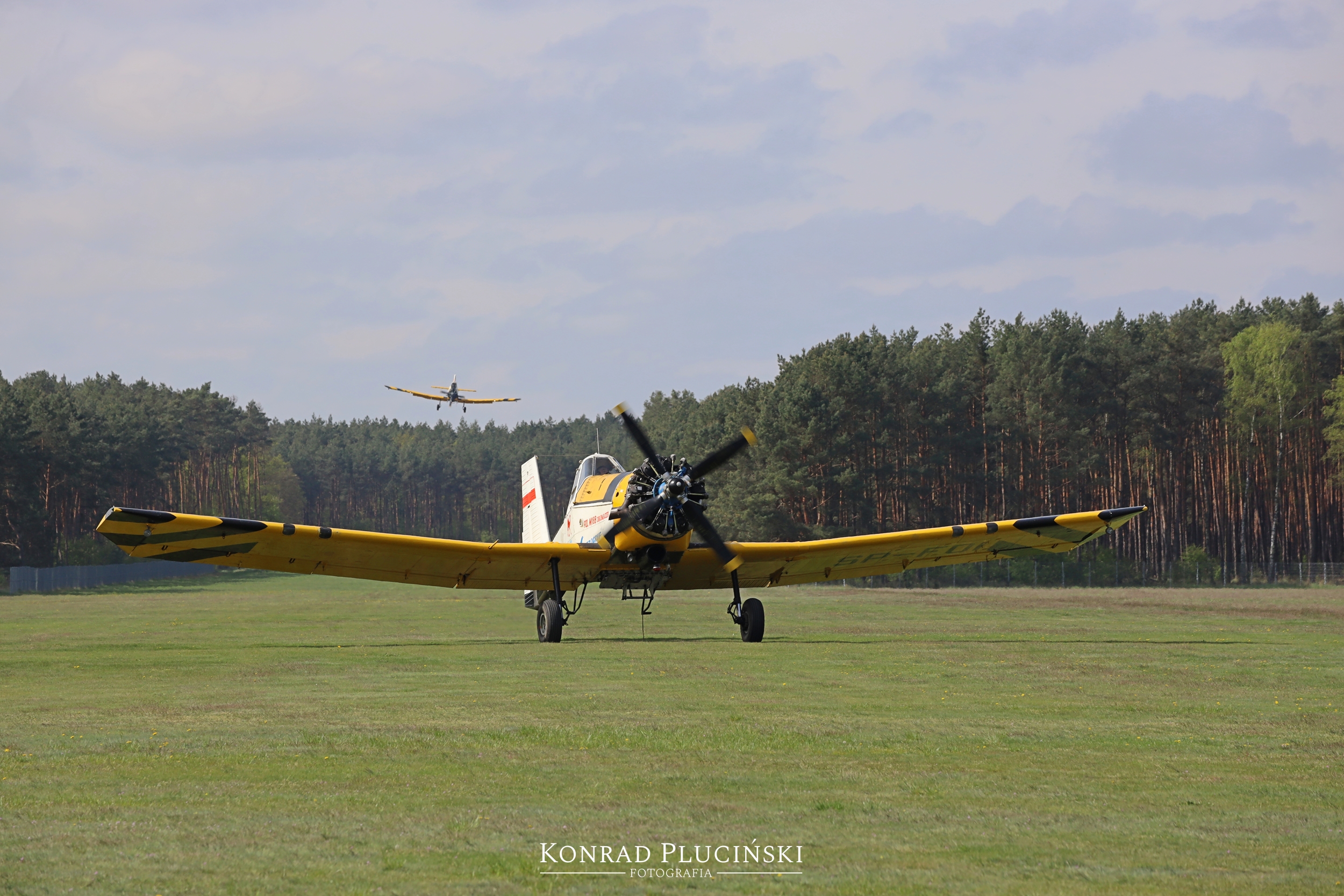 rzepin_1028