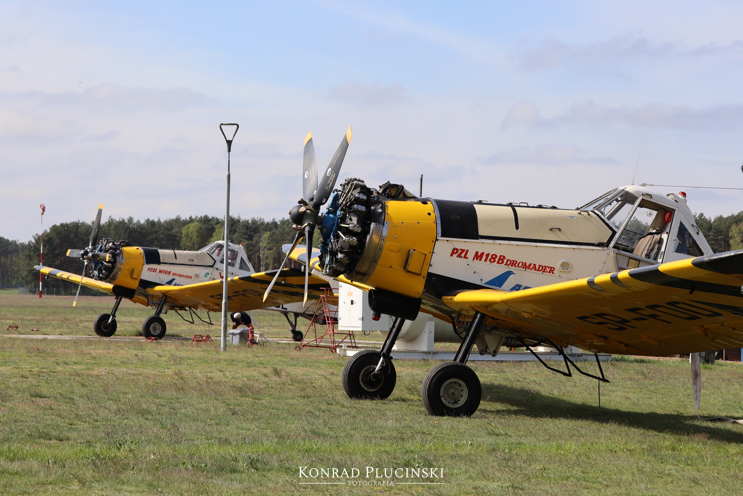 rzepin_1038