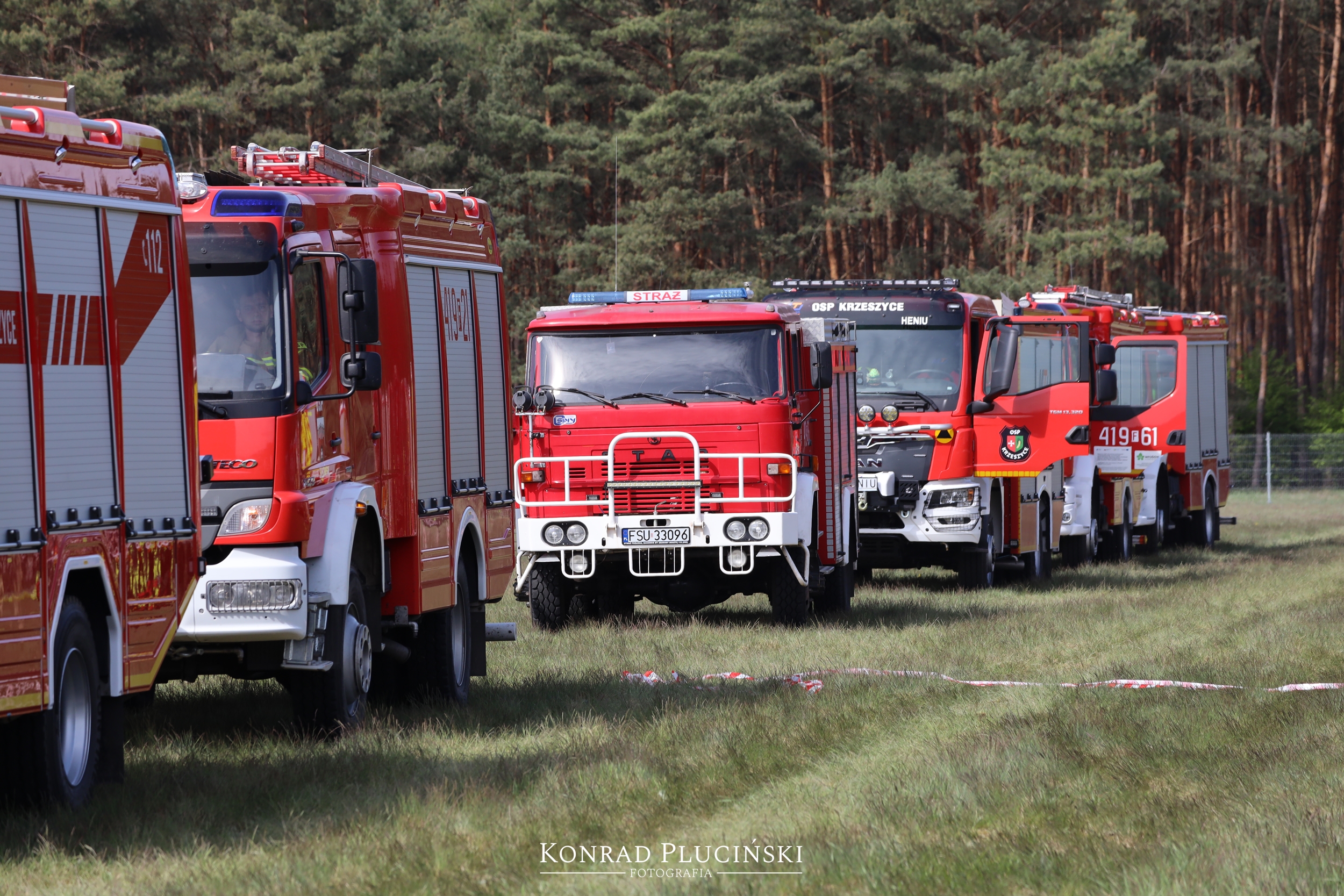 rzepin_1042
