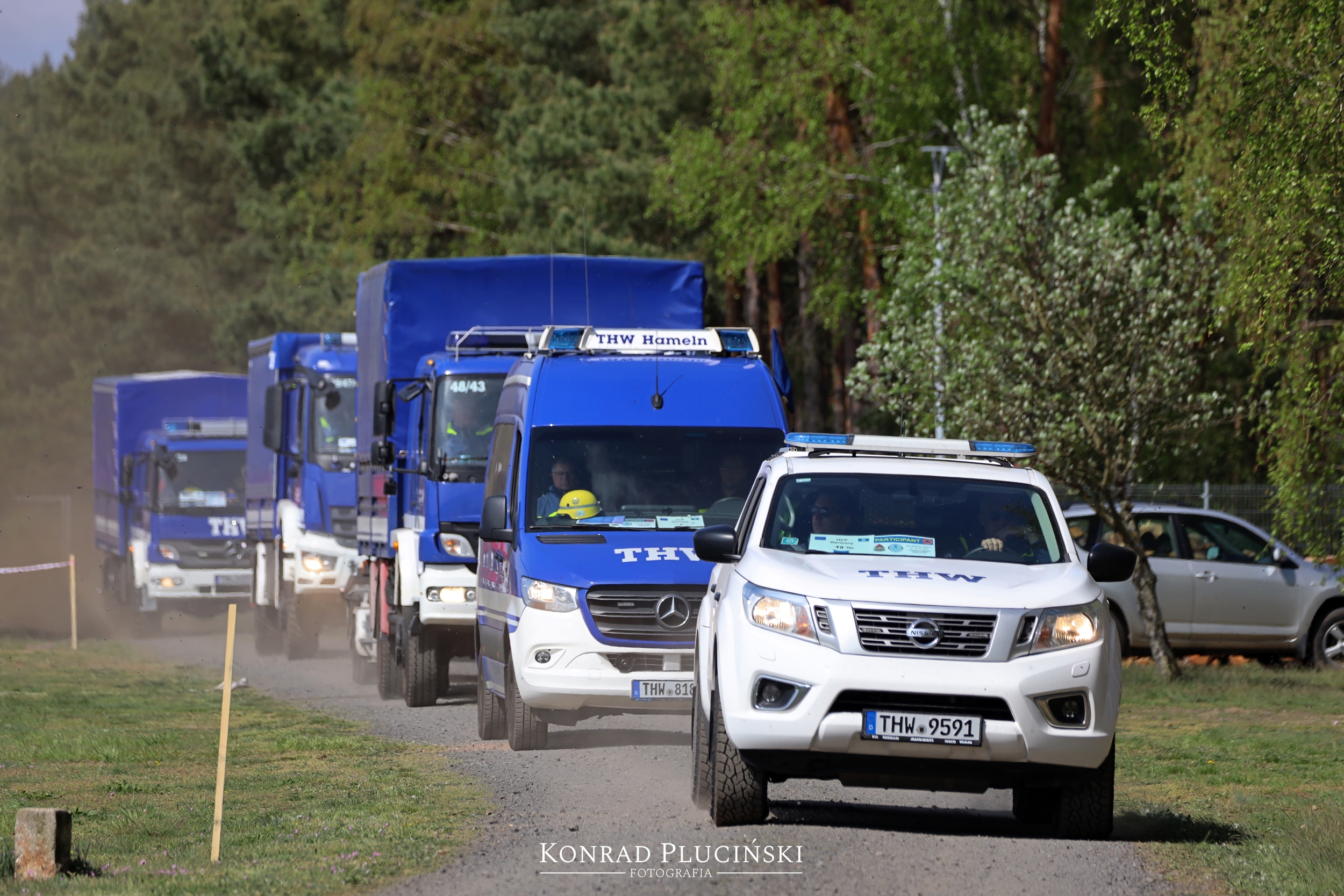 rzepin_1056