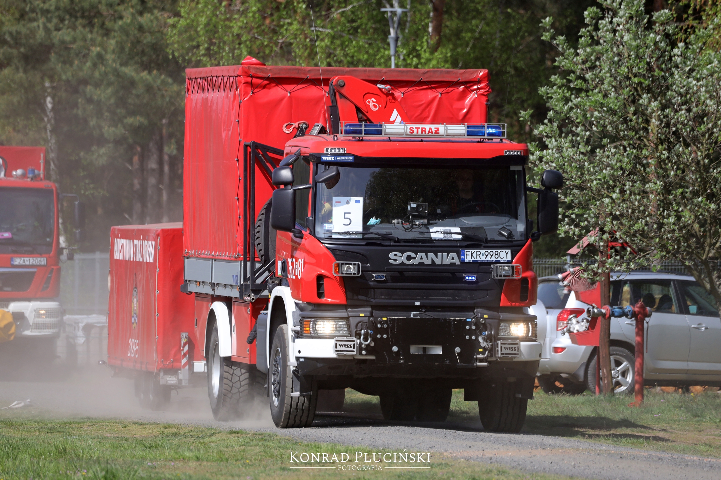 rzepin_1061