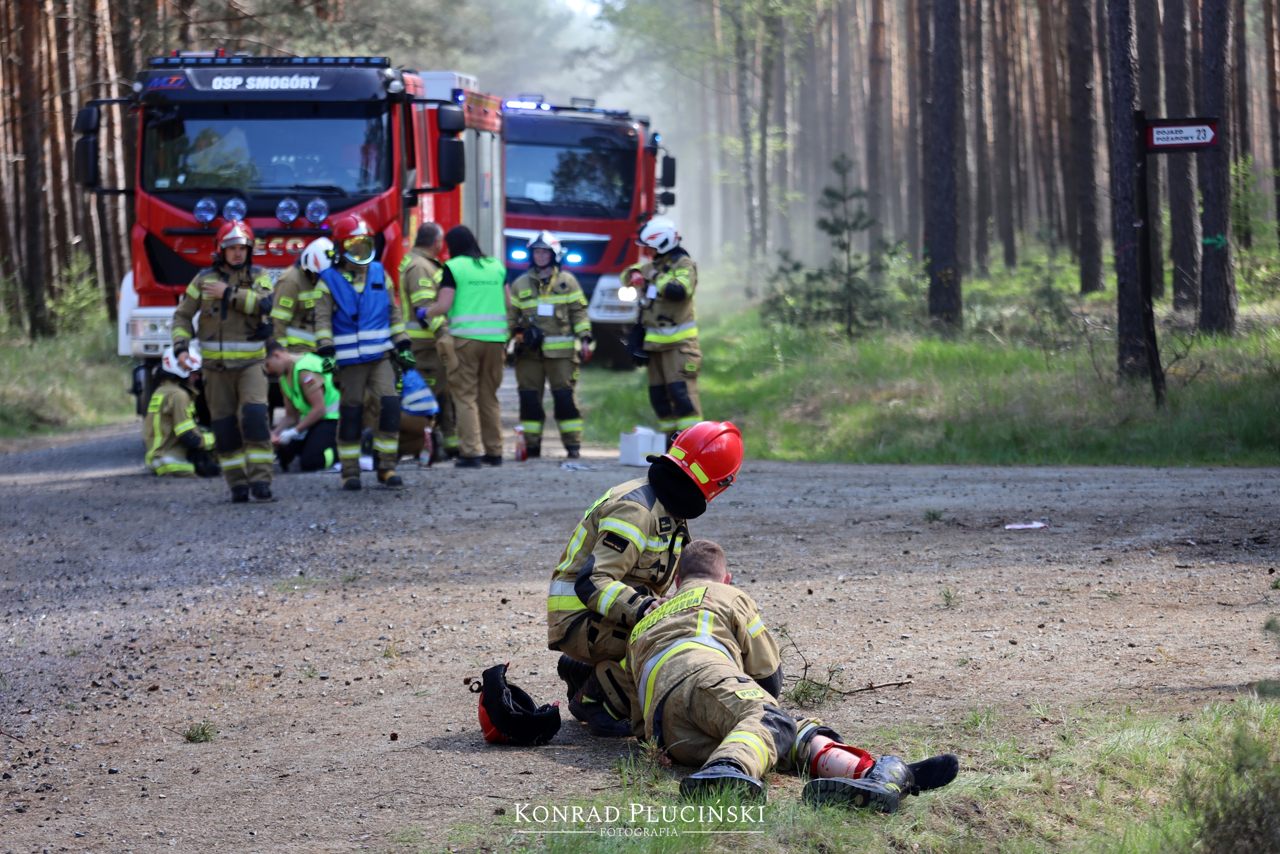 rzepin_2028