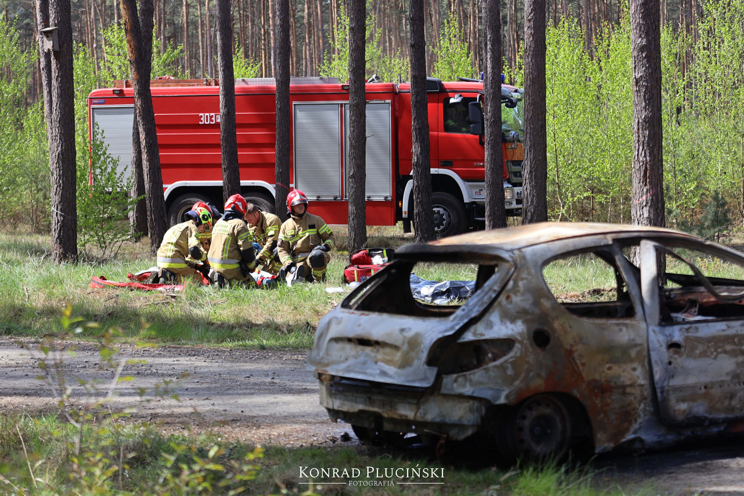 rzepin_2081