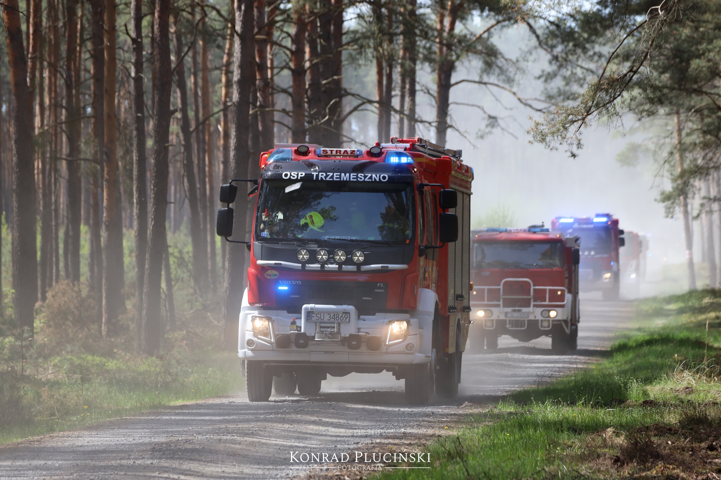 rzepin_2115