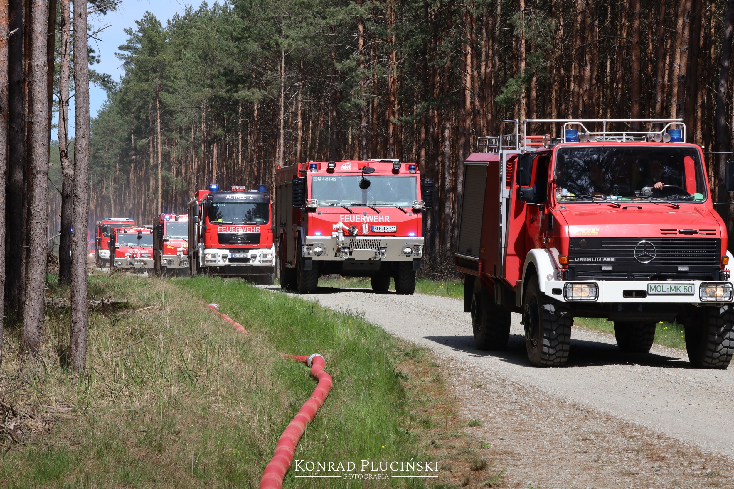 rzepin_2165