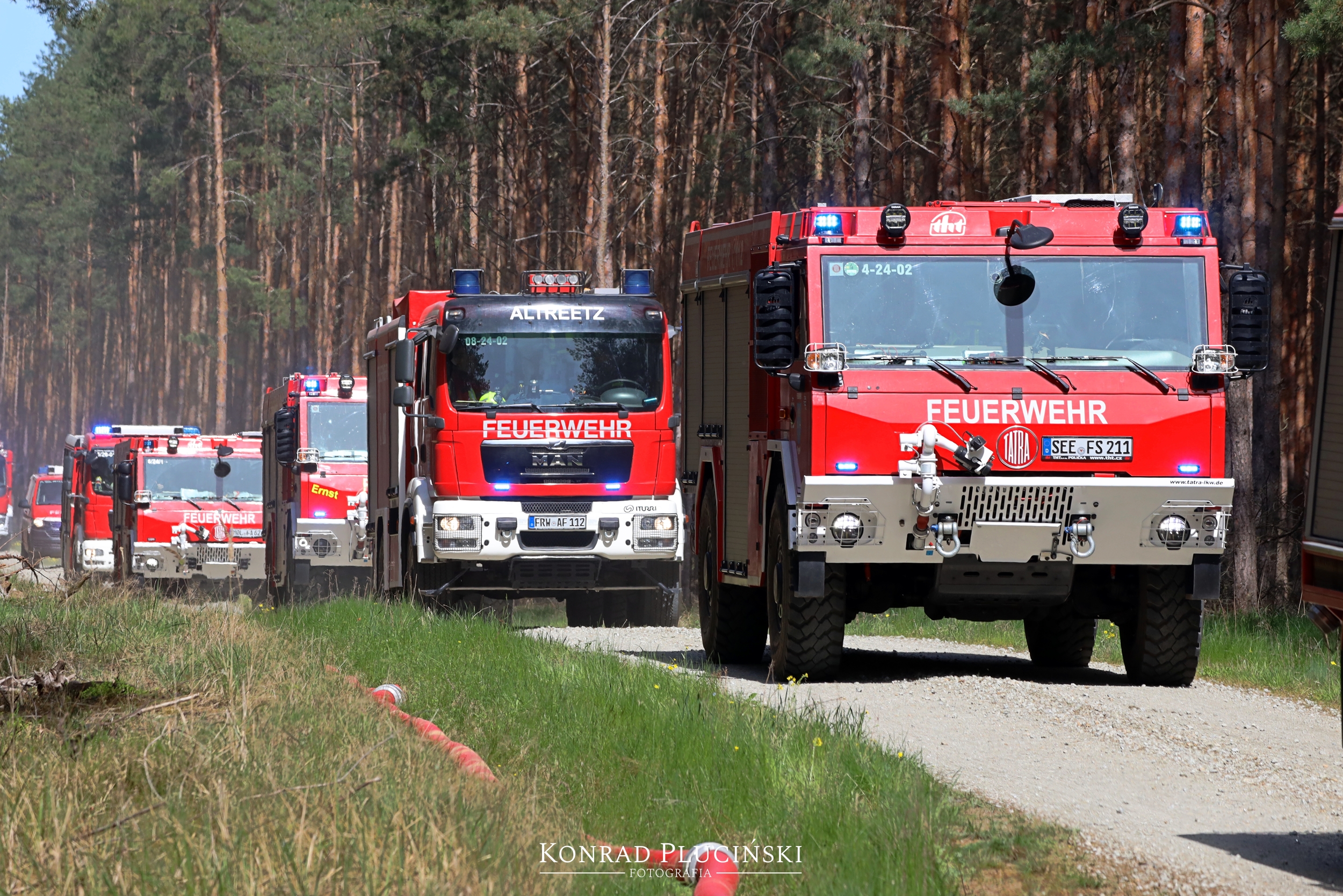 rzepin_2167