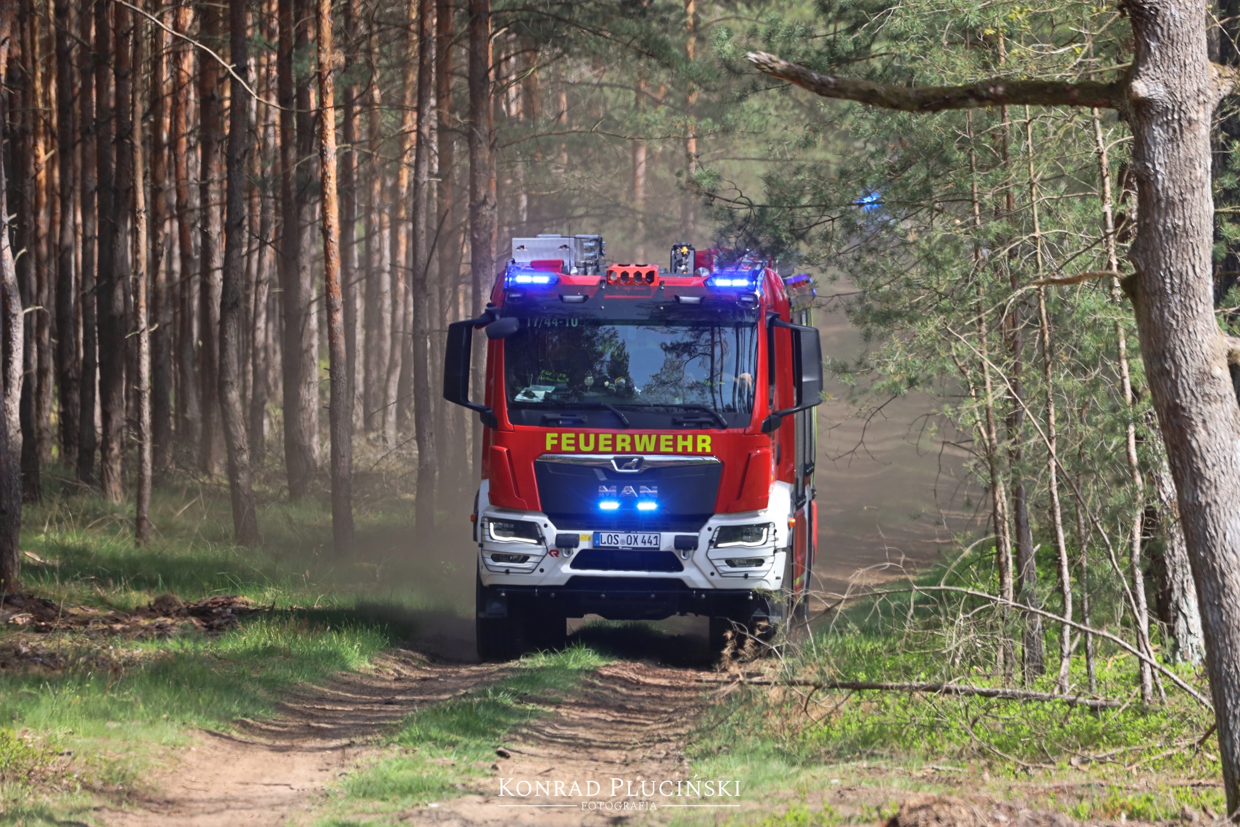 rzepin_2176