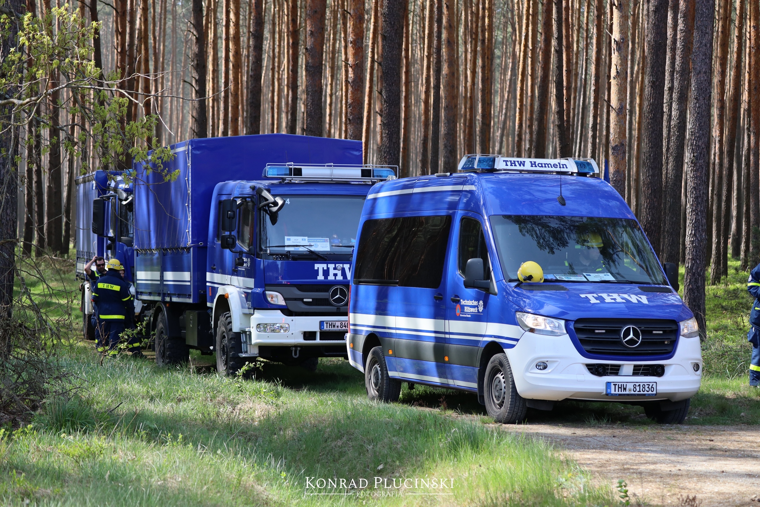 rzepin_2179