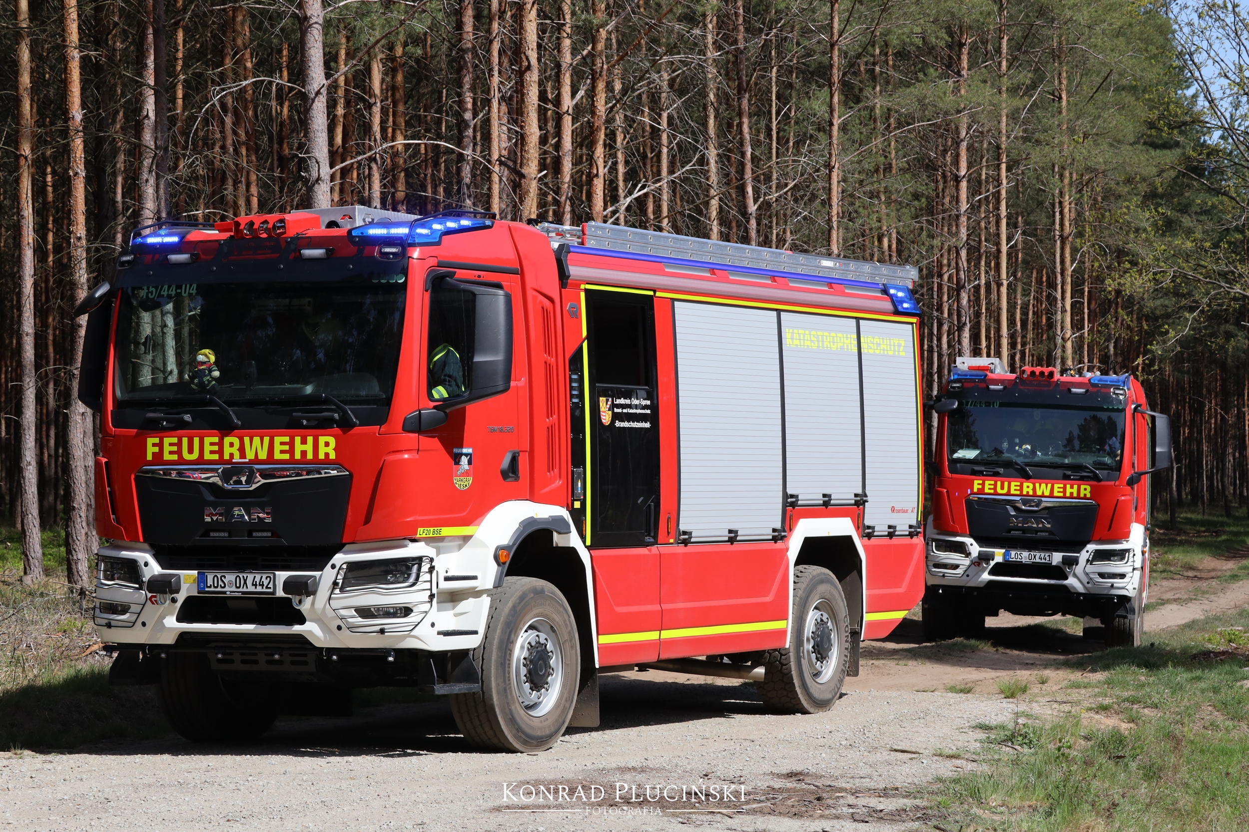 rzepin_2181
