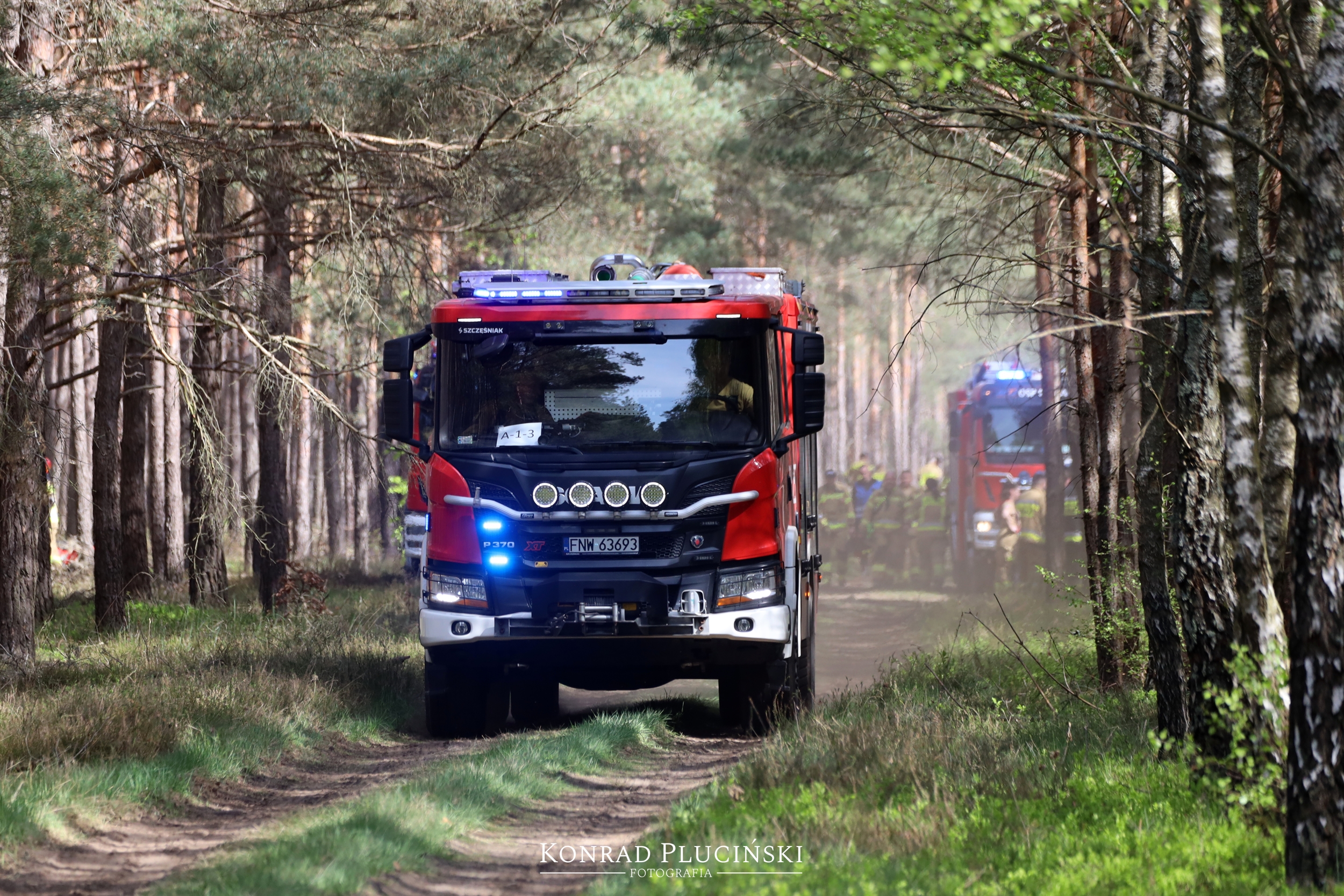 rzepin_2190
