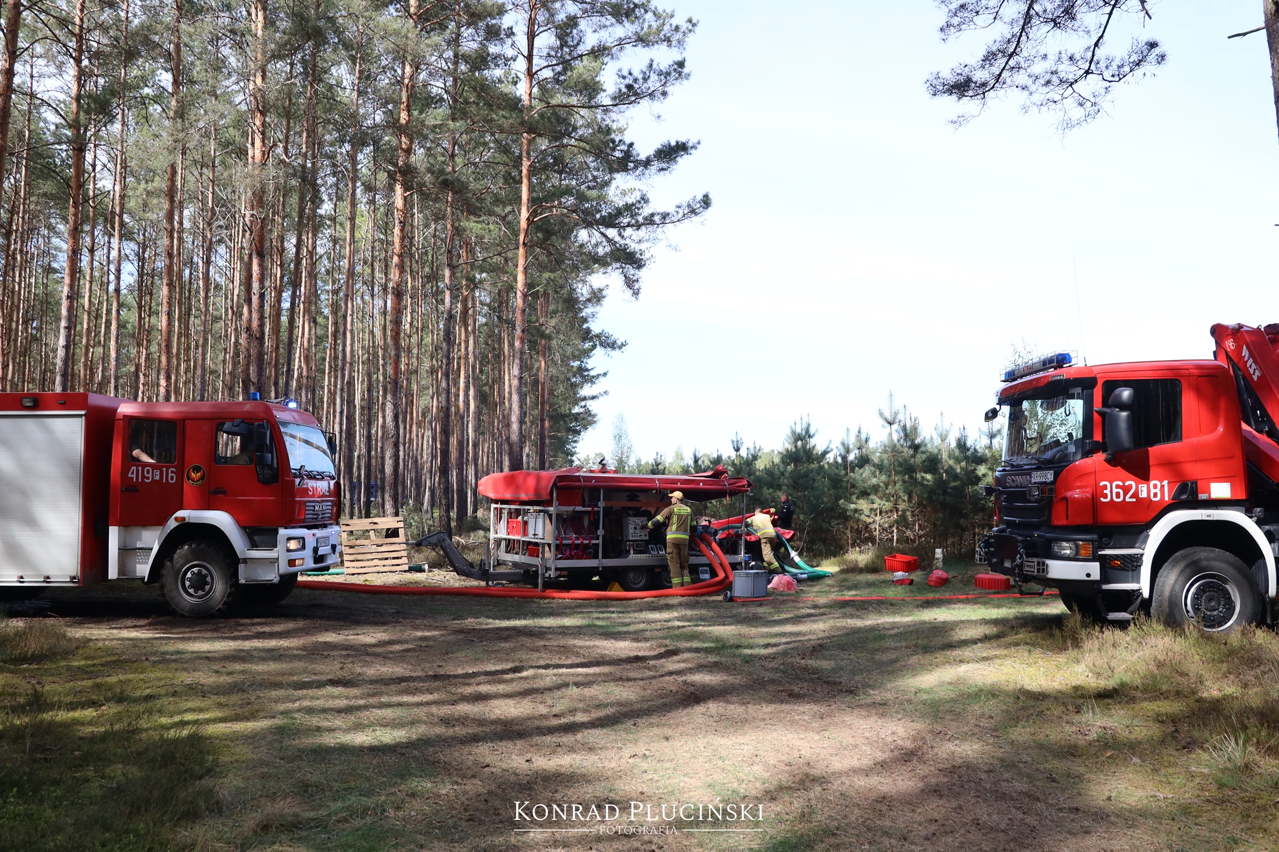 rzepin_2200