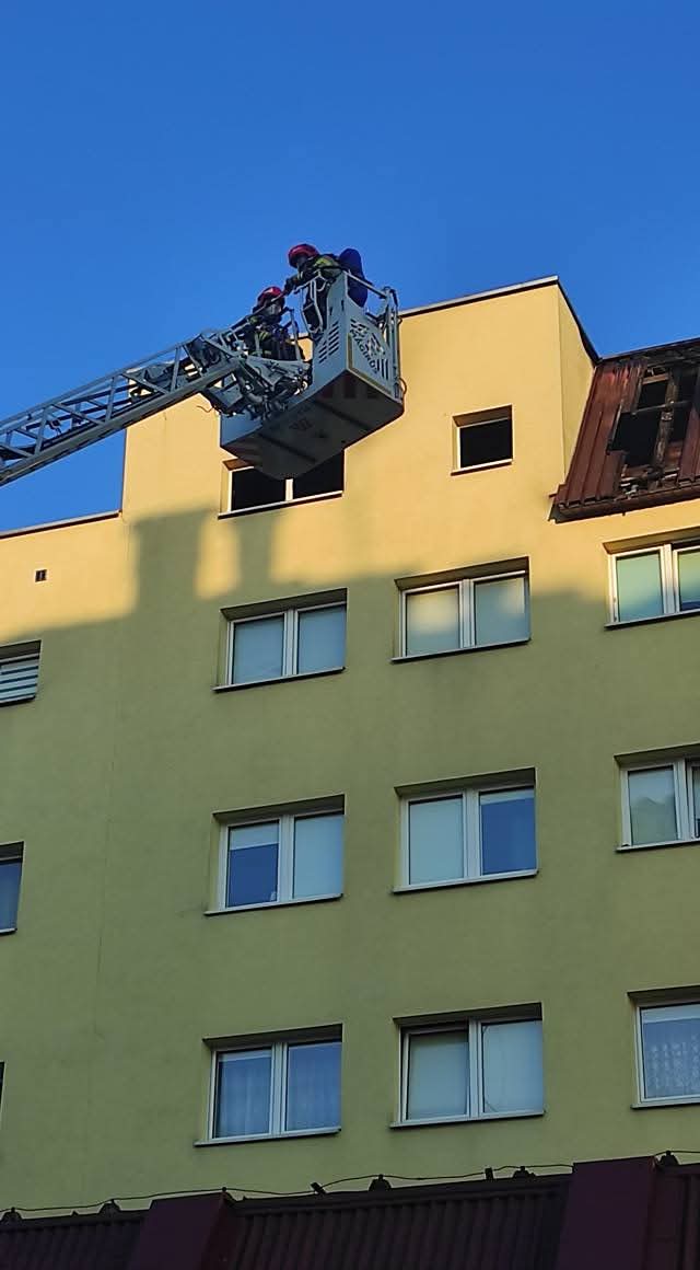 FB_IMG_1750411745783