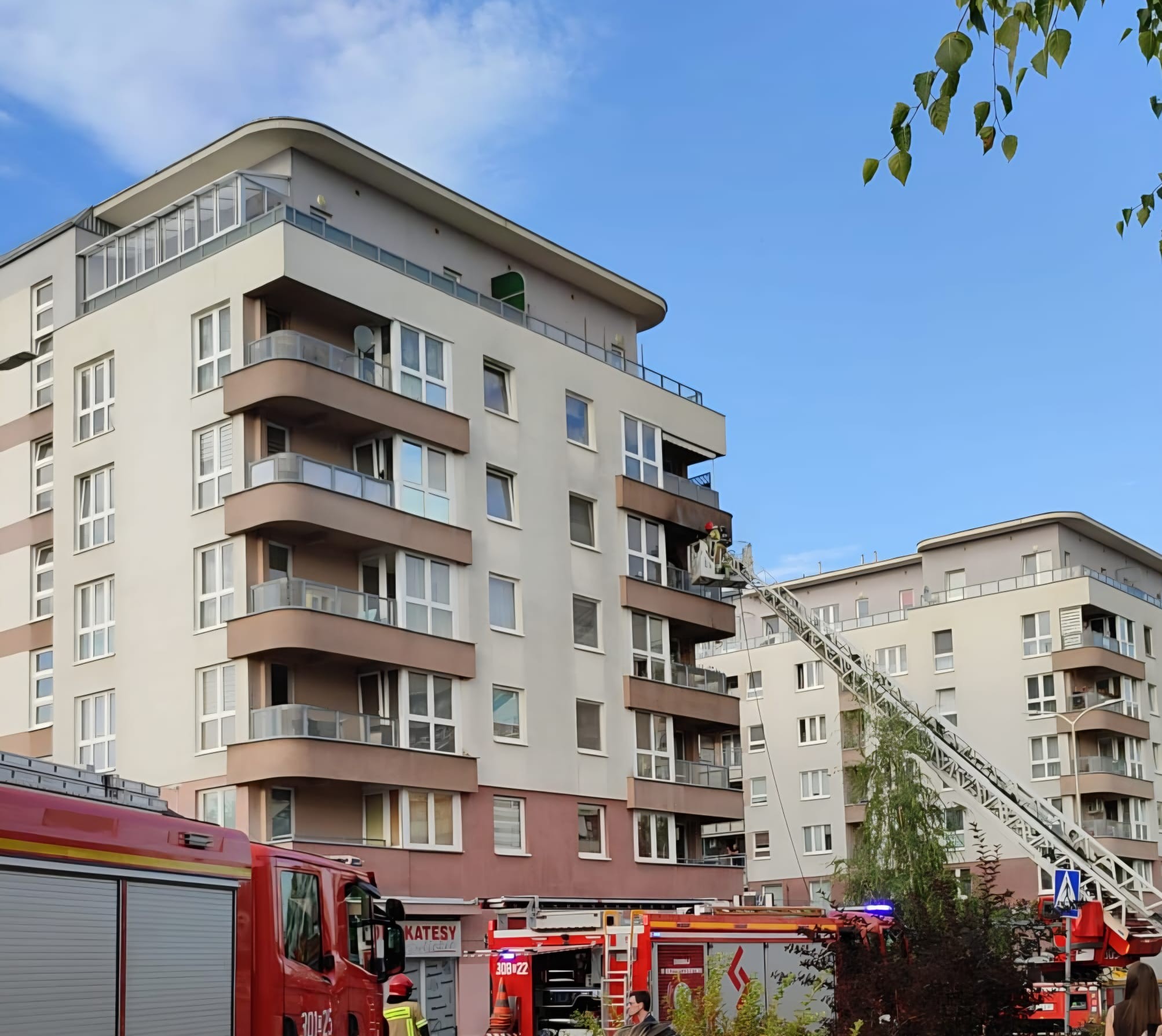 538687892_755117684166605_7209202558801463496_n