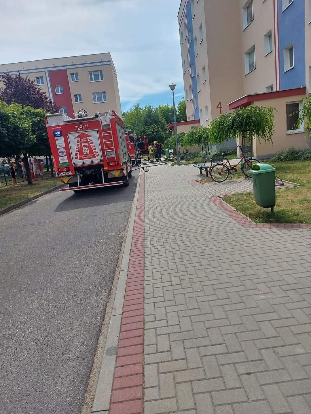 FB_IMG_1755077709783