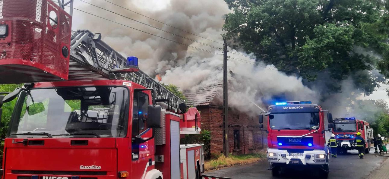 542013127_1103985491823753_4839066945531919191_n