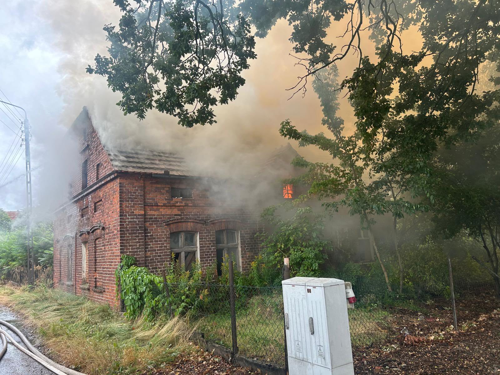 543461107_1103986105157025_5150012668784960374_n