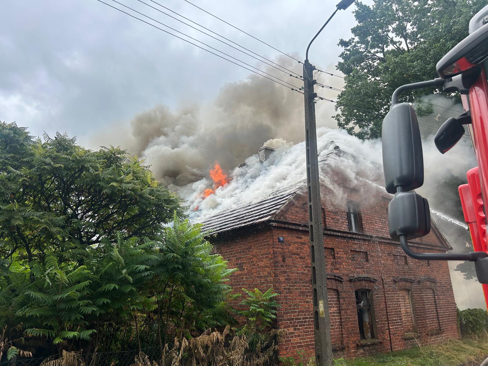 544568288_1103986038490365_7698198420501127429_n