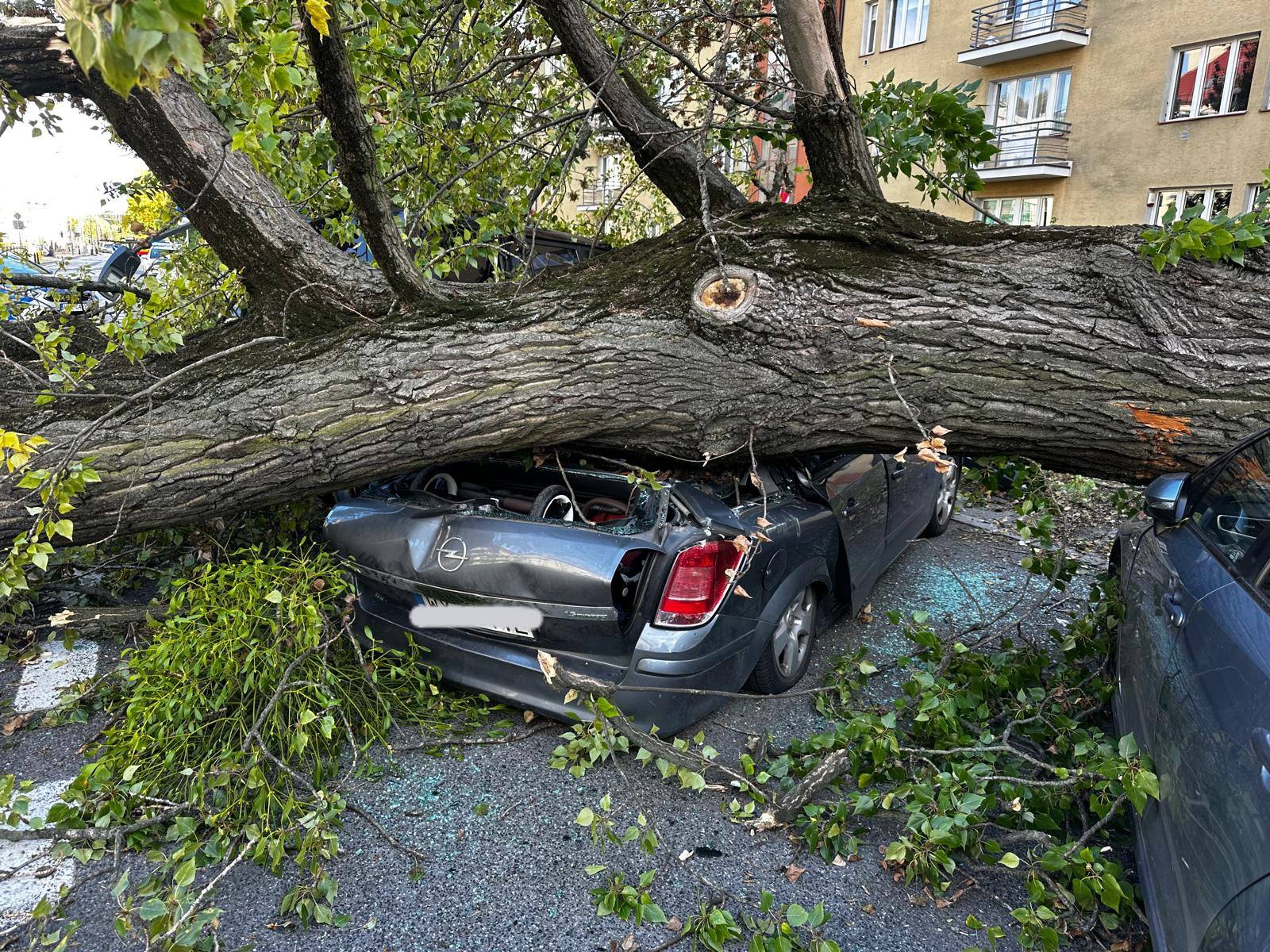 548128980_1221688419999942_370132468038459253_n