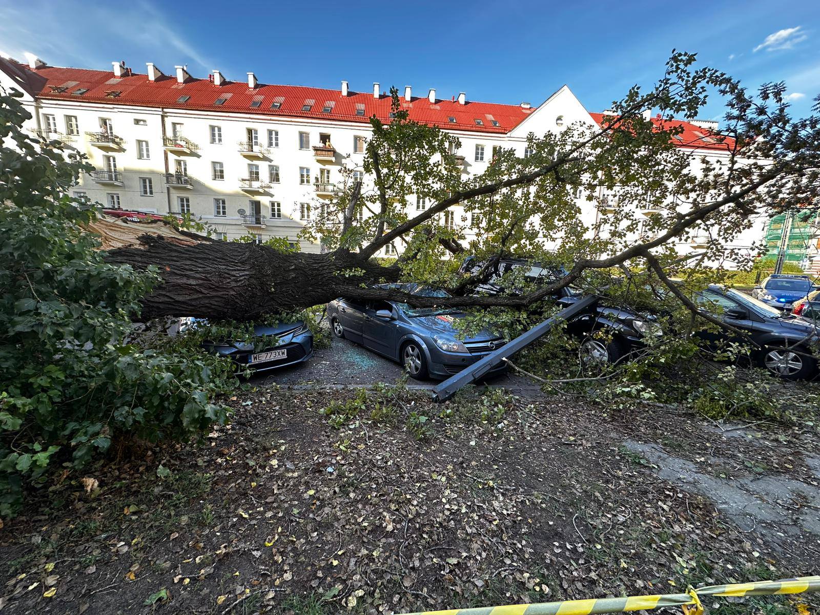 548142654_1221688476666603_6362529590213098617_n