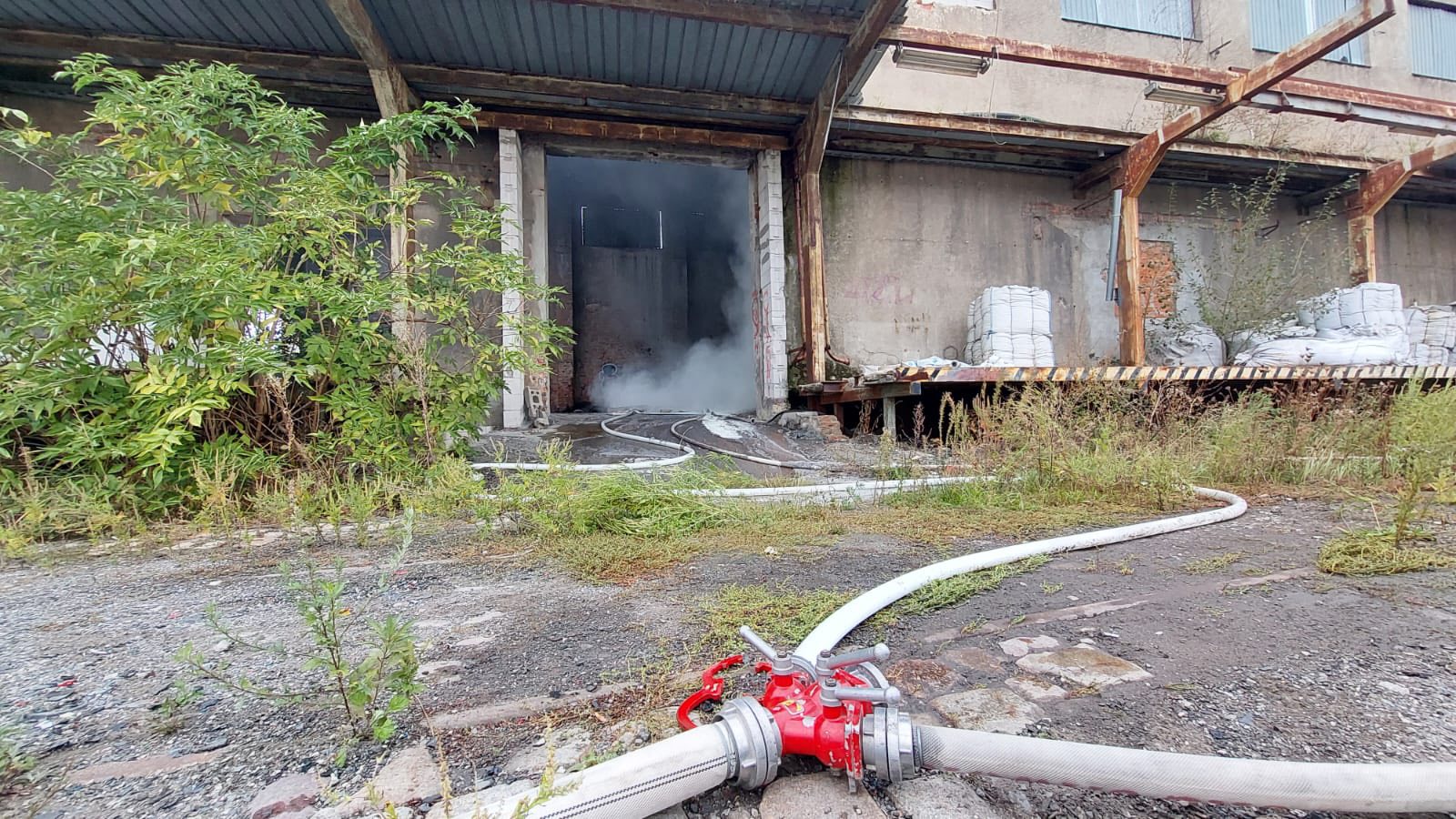 556152164_782475484756760_3266236780129427697_n