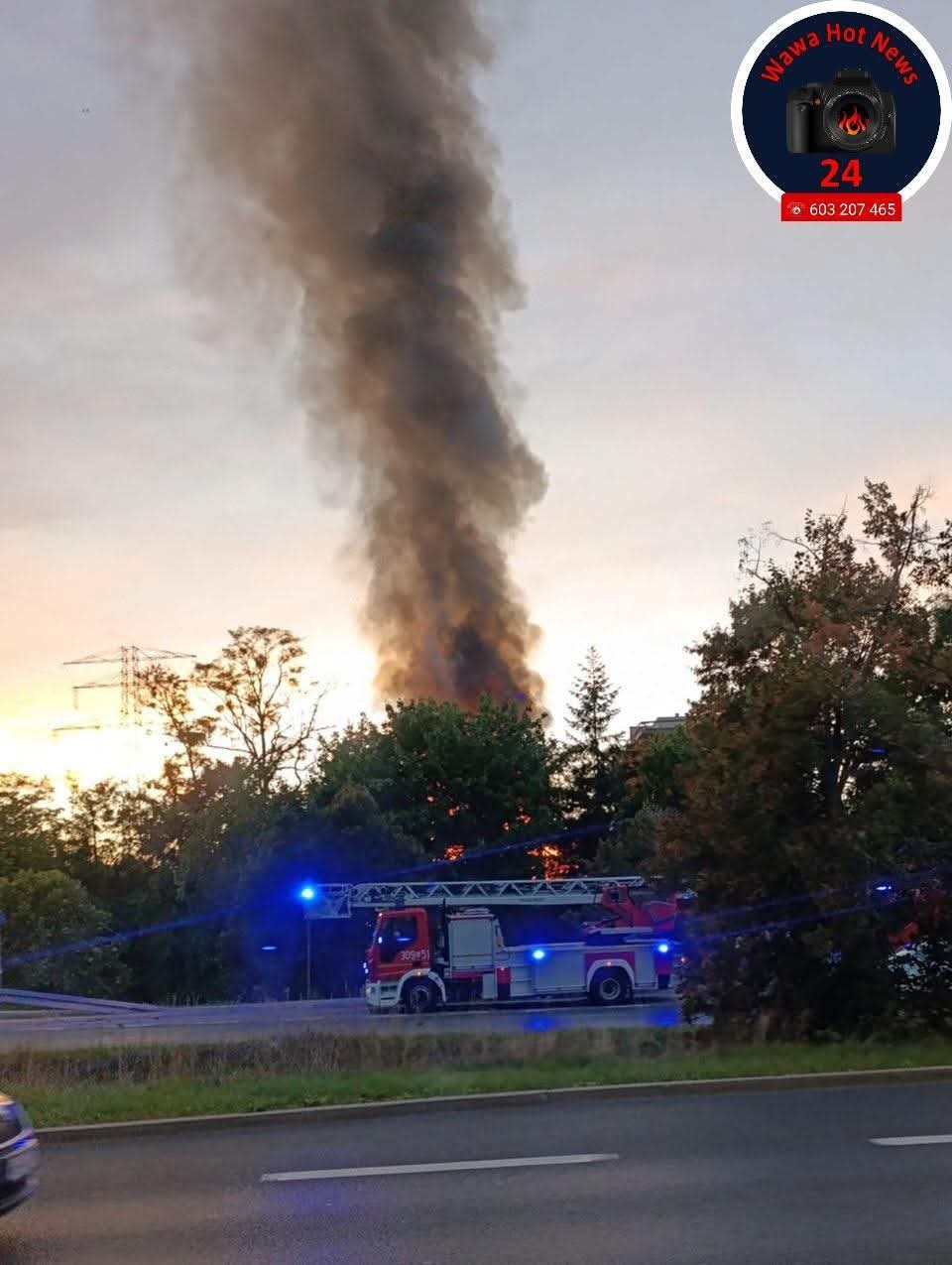 FB_IMG_1758710273750