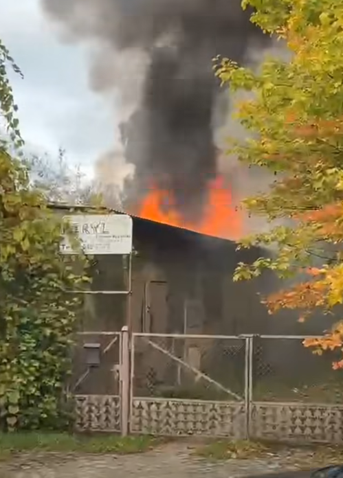 Zrzut ekranu 2025-10-10 080005