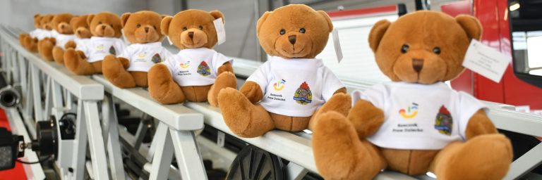 Miś Ratownik – mały bohater na wielką pomoc