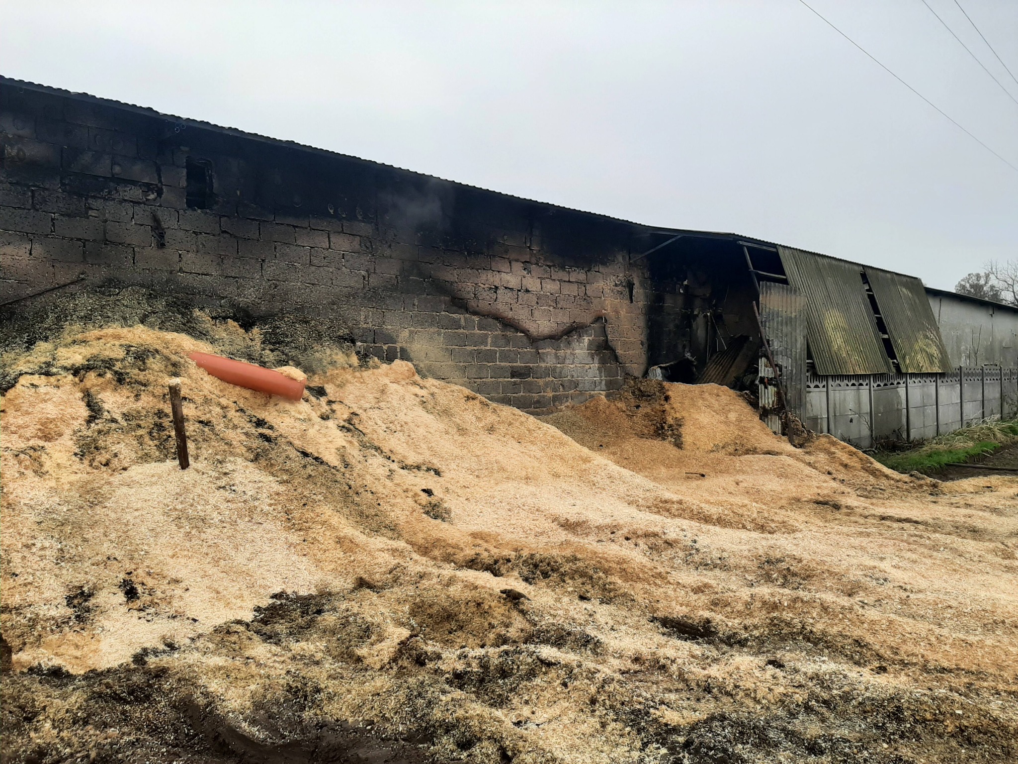 584894158_827622710243354_5764284979912021234_n