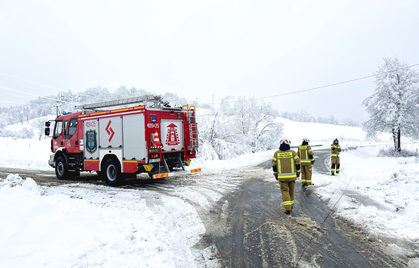 584949431_1146000857710846_4123247445063937665_n