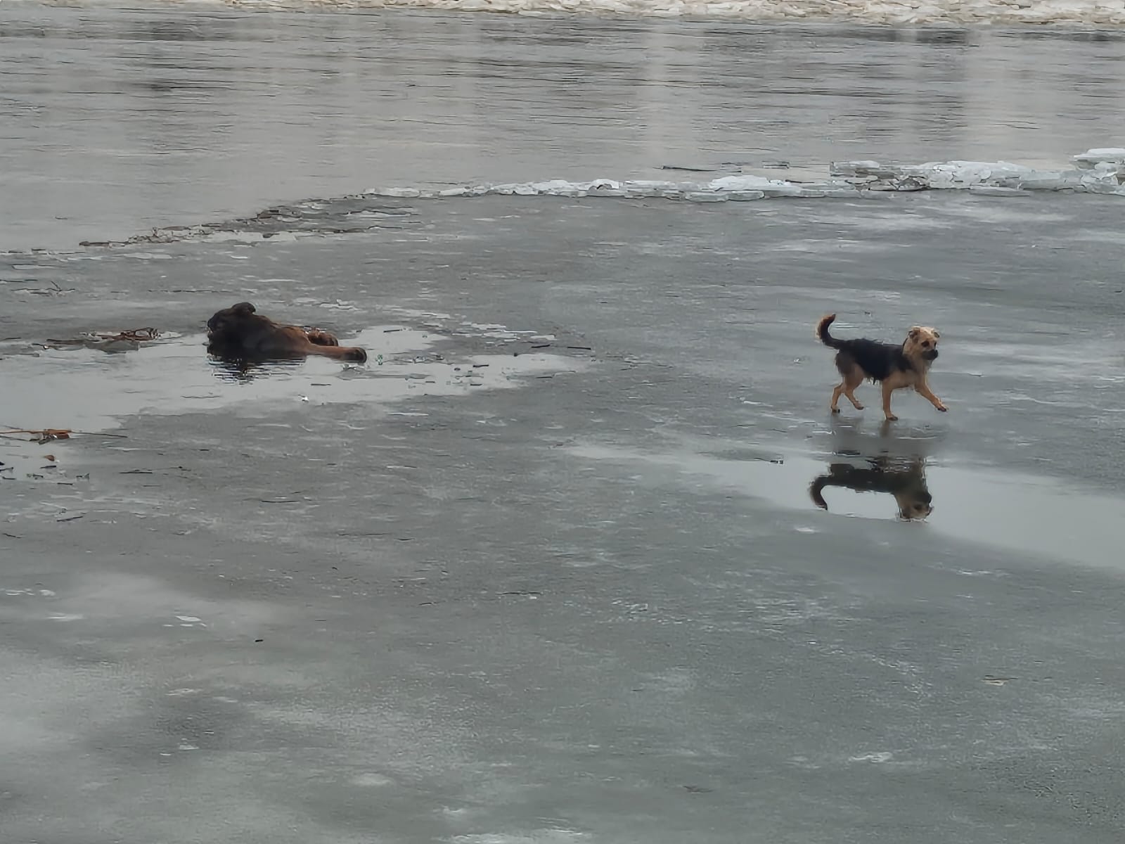 633456463_1204581955180388_3356796192017654672_n