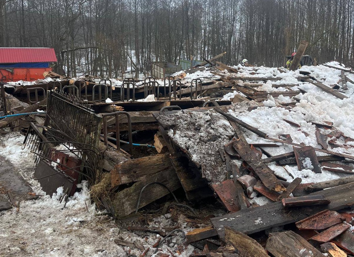 641547954_856740070666099_2107213140695113310_n