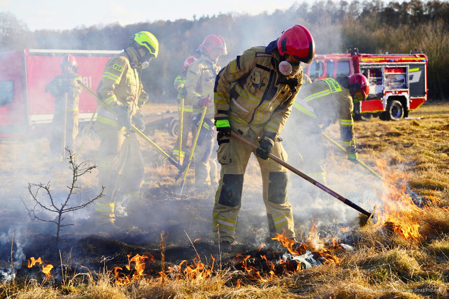 07291389-52a7-48be-8da7-457a5674a2b0