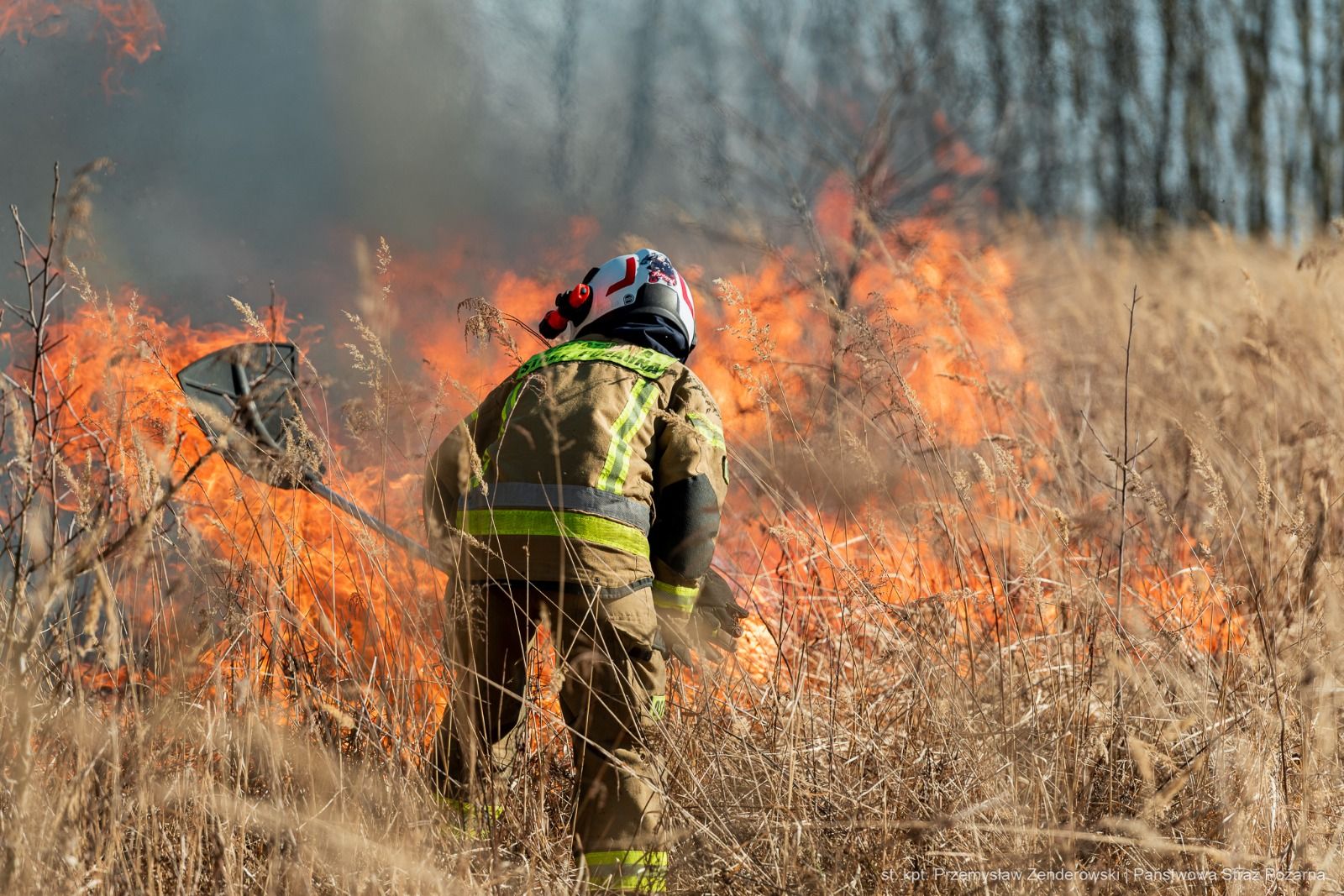 650053898_1260156476302677_7492467459760328150_n