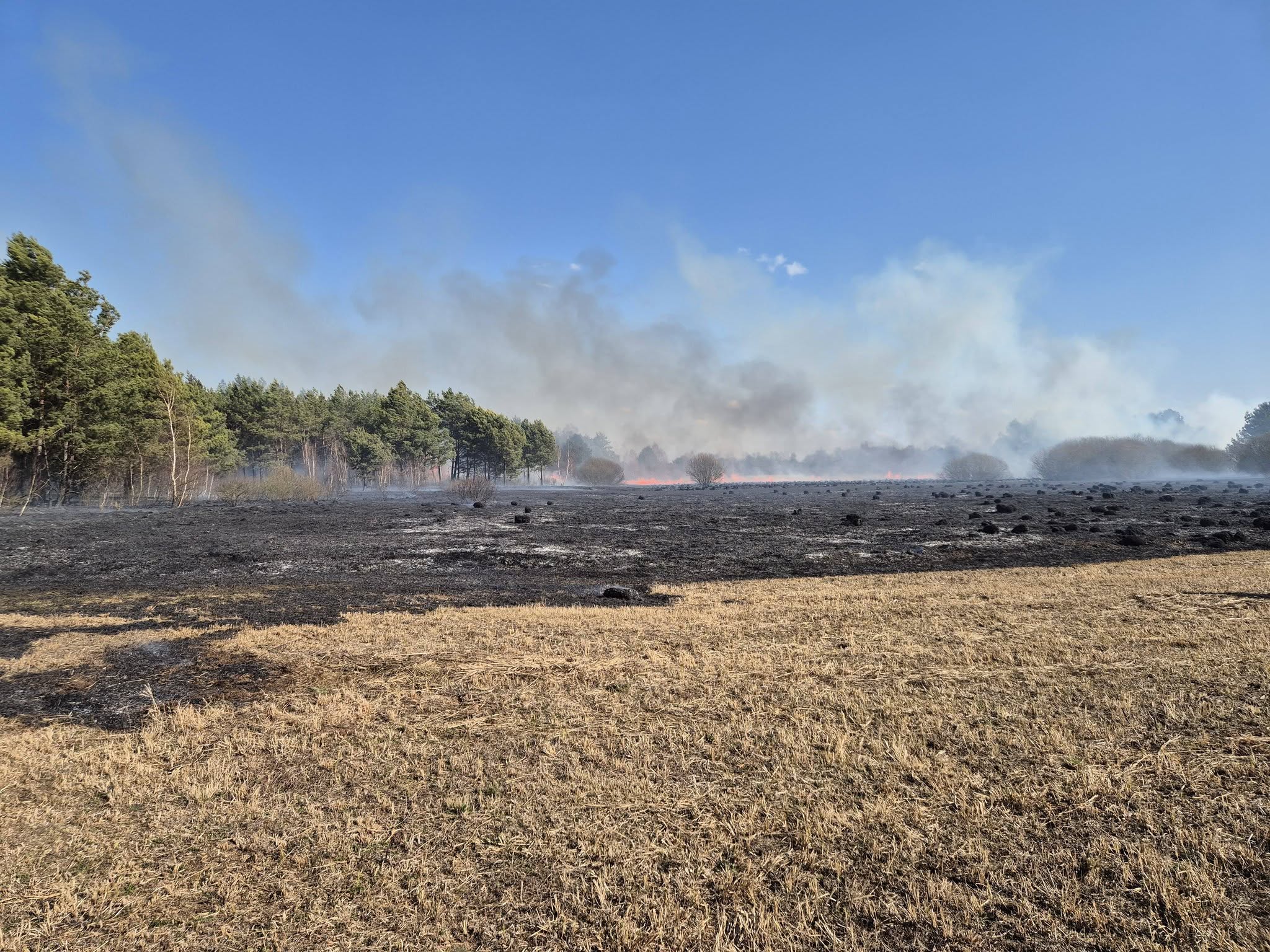 651000465_1211622097804927_882613016429797466_n