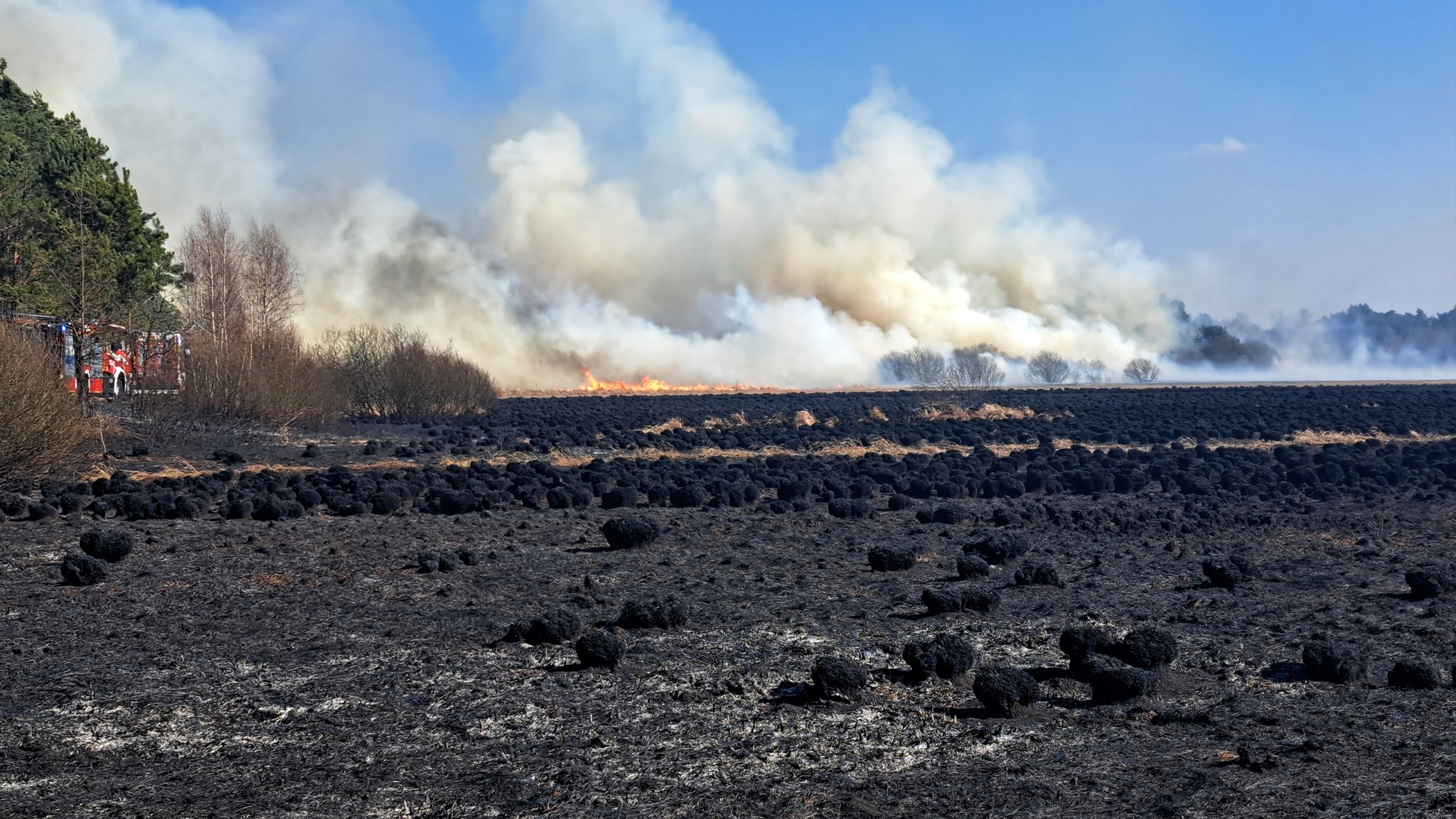 651685144_122165160872885285_4384476752081976409_n