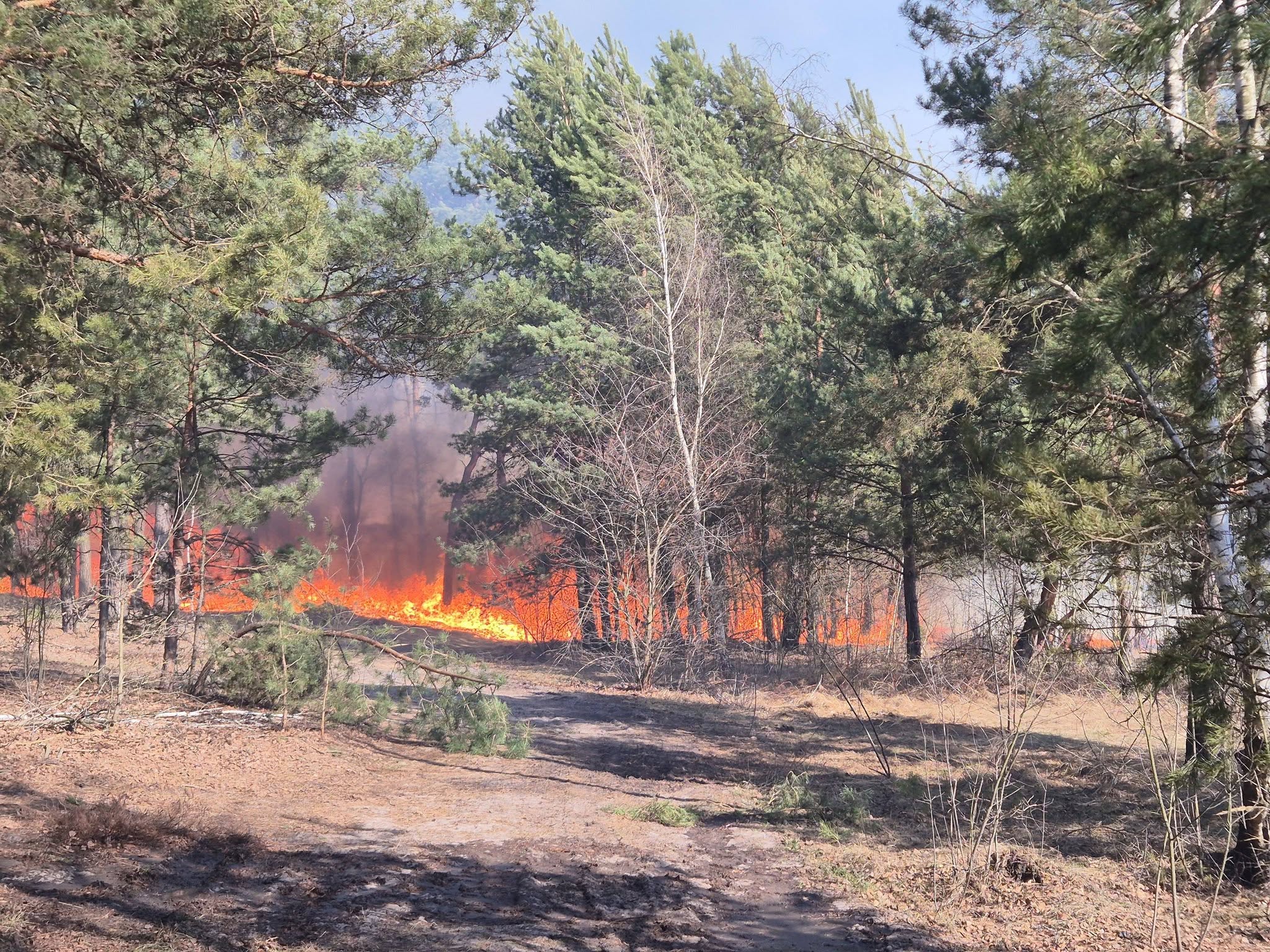 651708778_1211621727804964_5794819830743952207_n