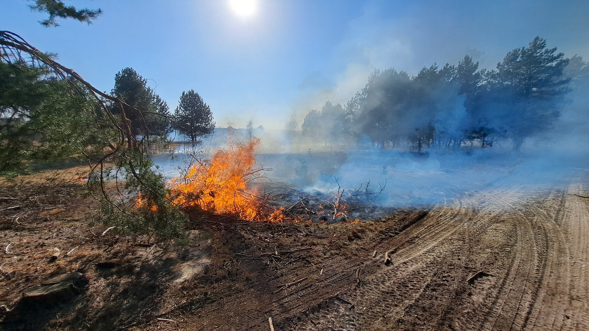 652564999_122165161250885285_7140790763715451276_n