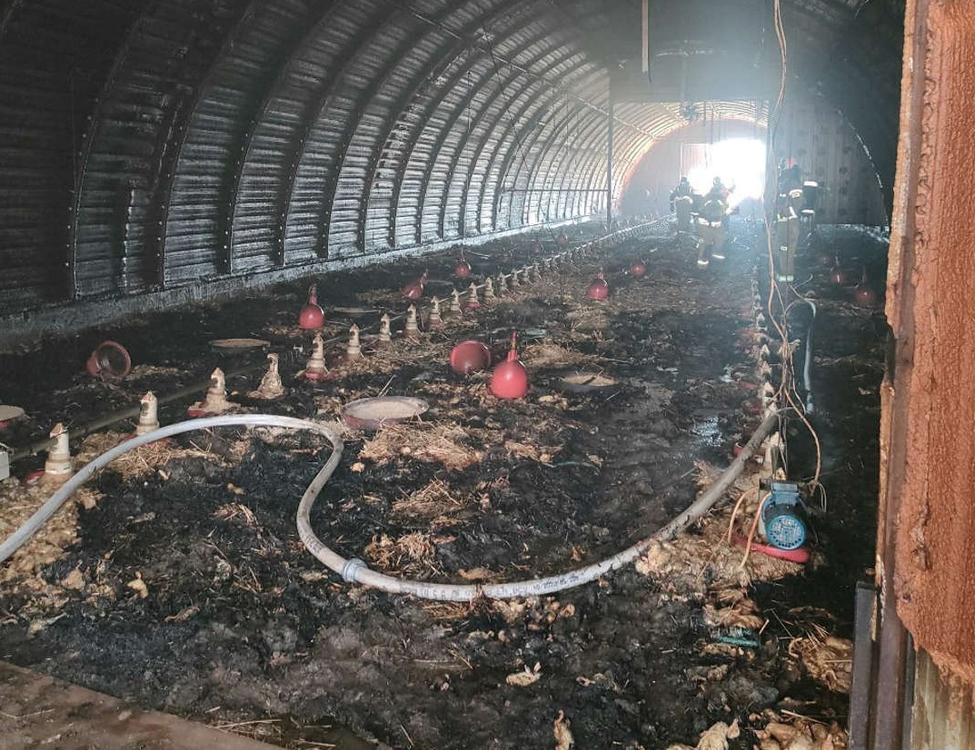 652647933_1442771900974694_4562037478638821020_n