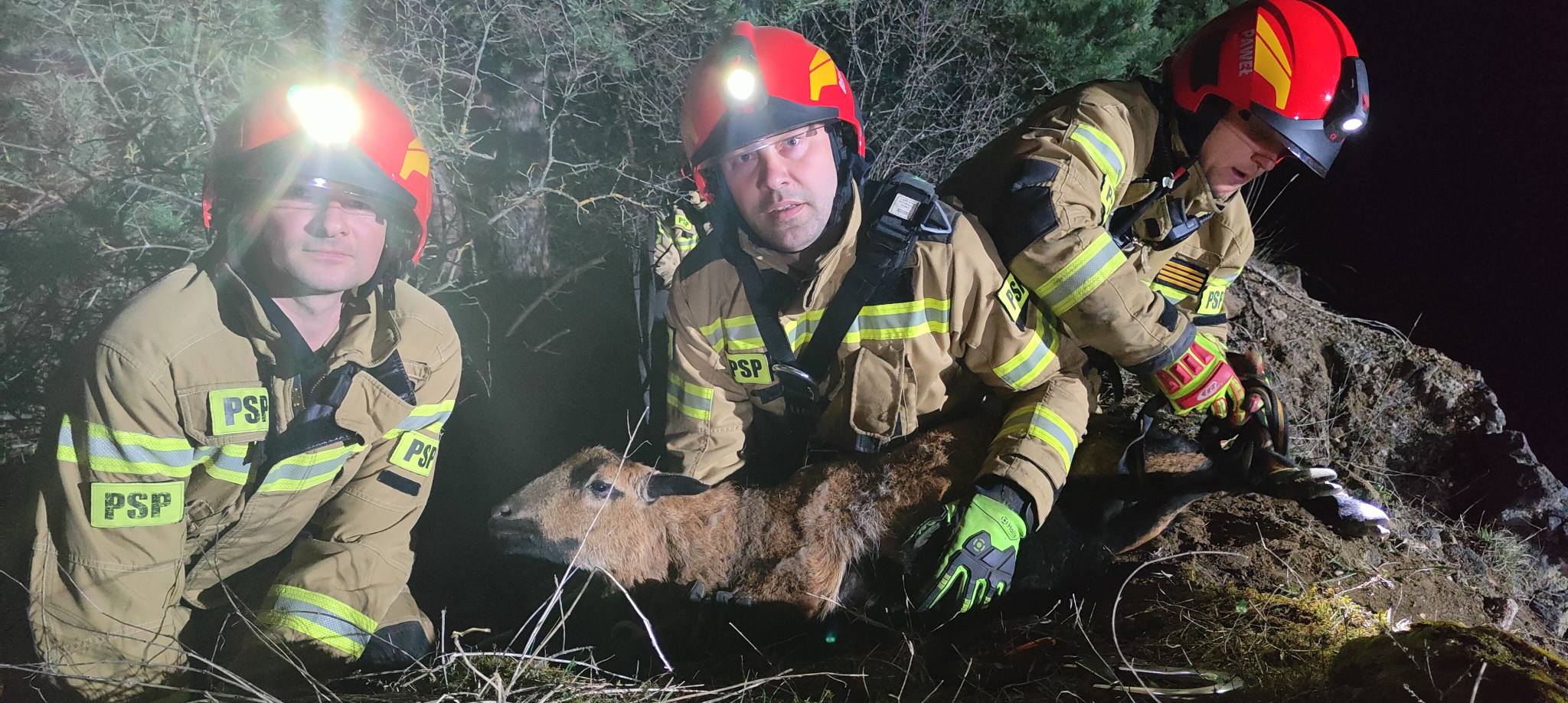 661465317_1252946753691813_2638547684348697309_n