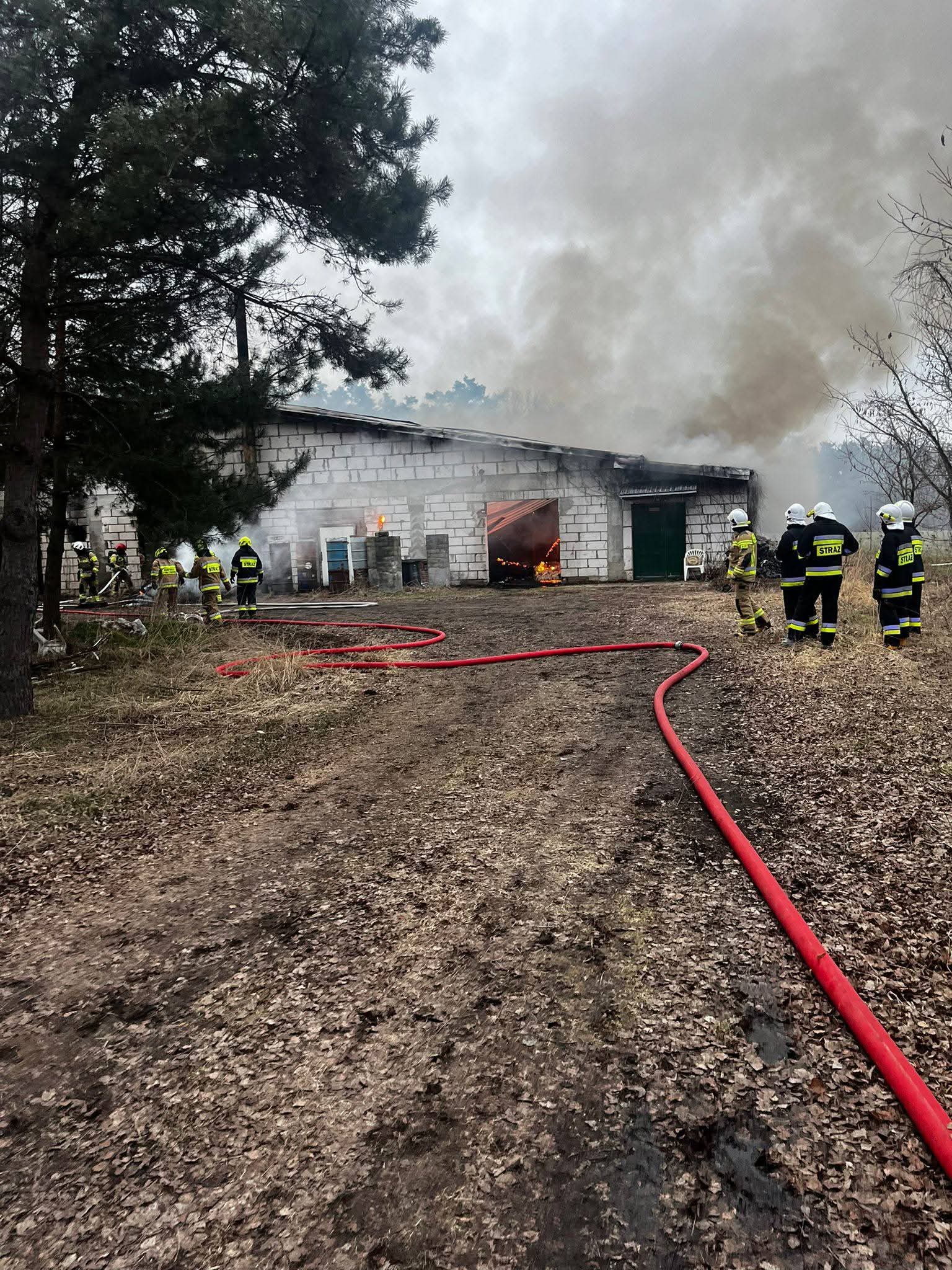 FB_IMG_1772451140767