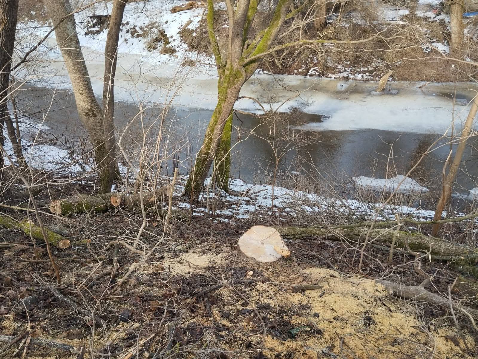 FB_IMG_1772711963660