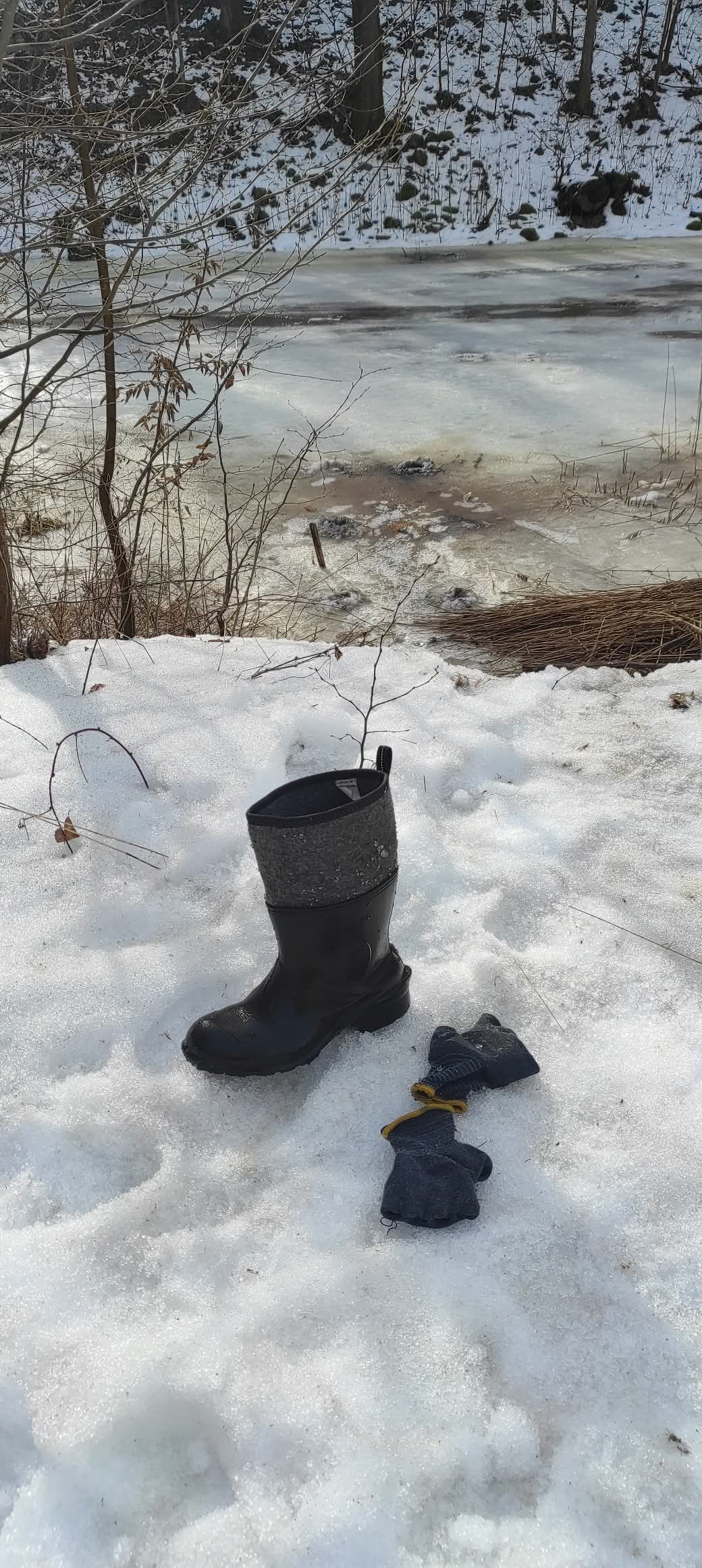 FB_IMG_1772711970355