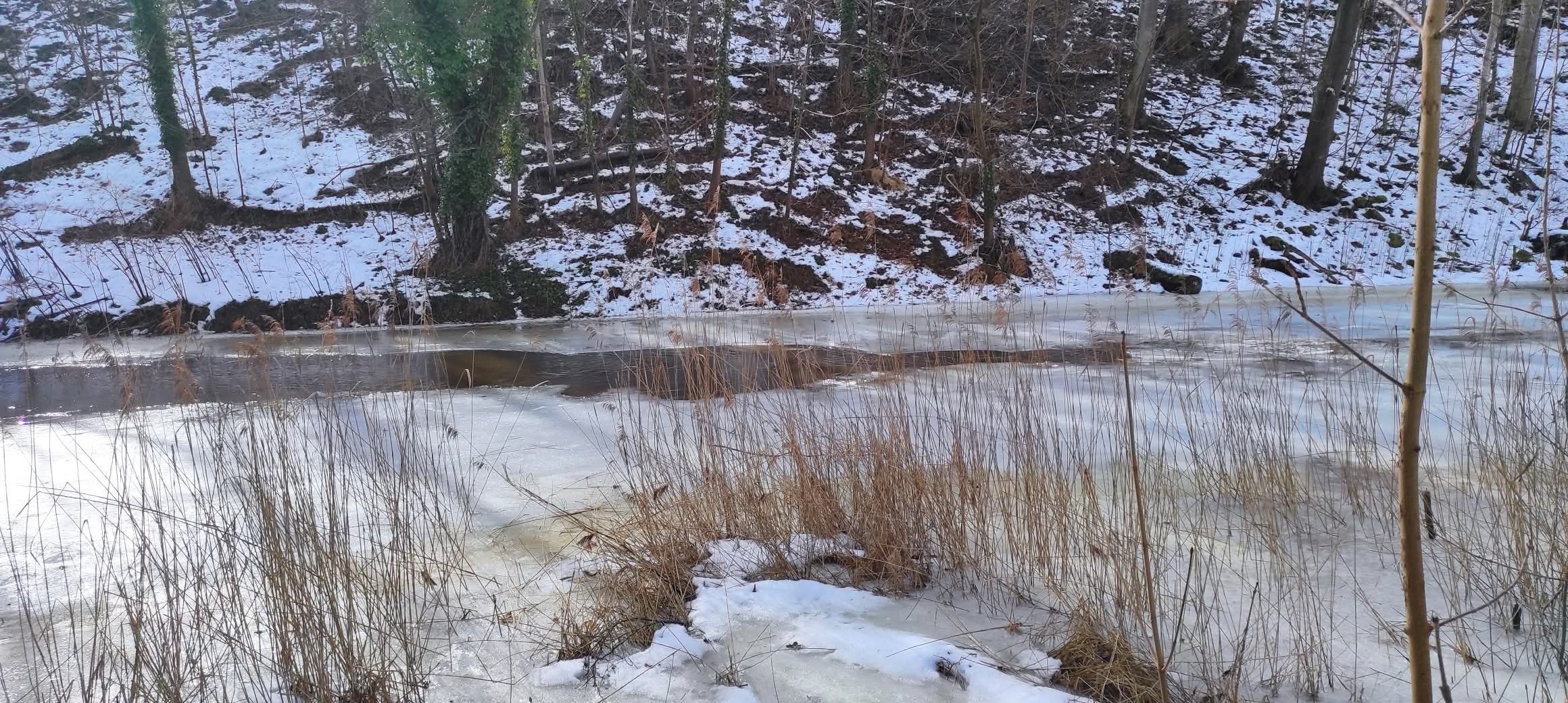 FB_IMG_1772711973041