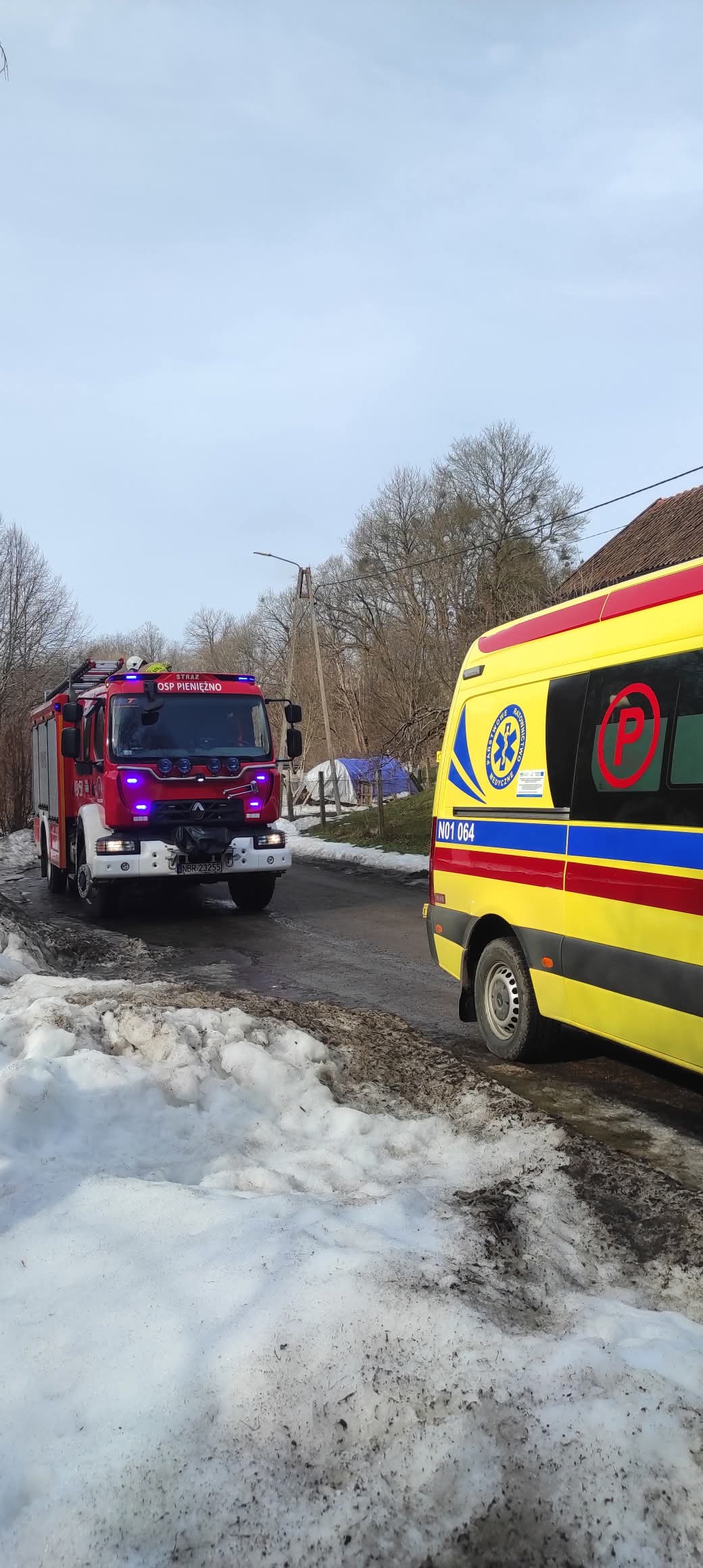 FB_IMG_1772711975214