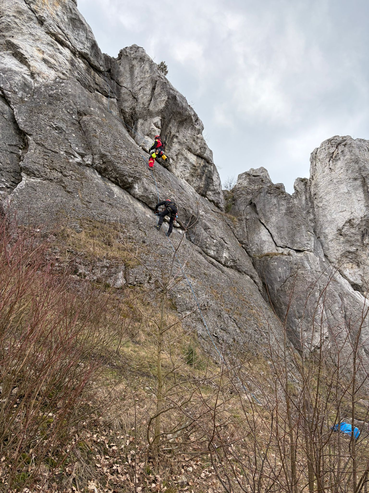 dfa7b263-bc78-4d50-8ad1-229184fcd444