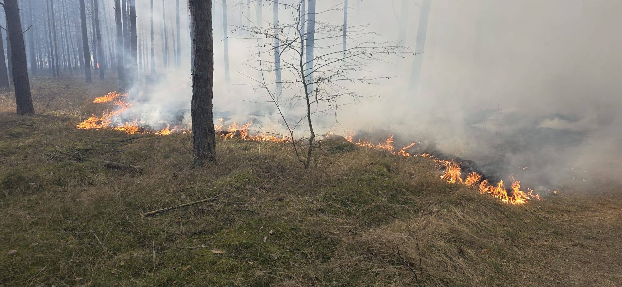 660586372_932297023114256_1199365056852384876_n