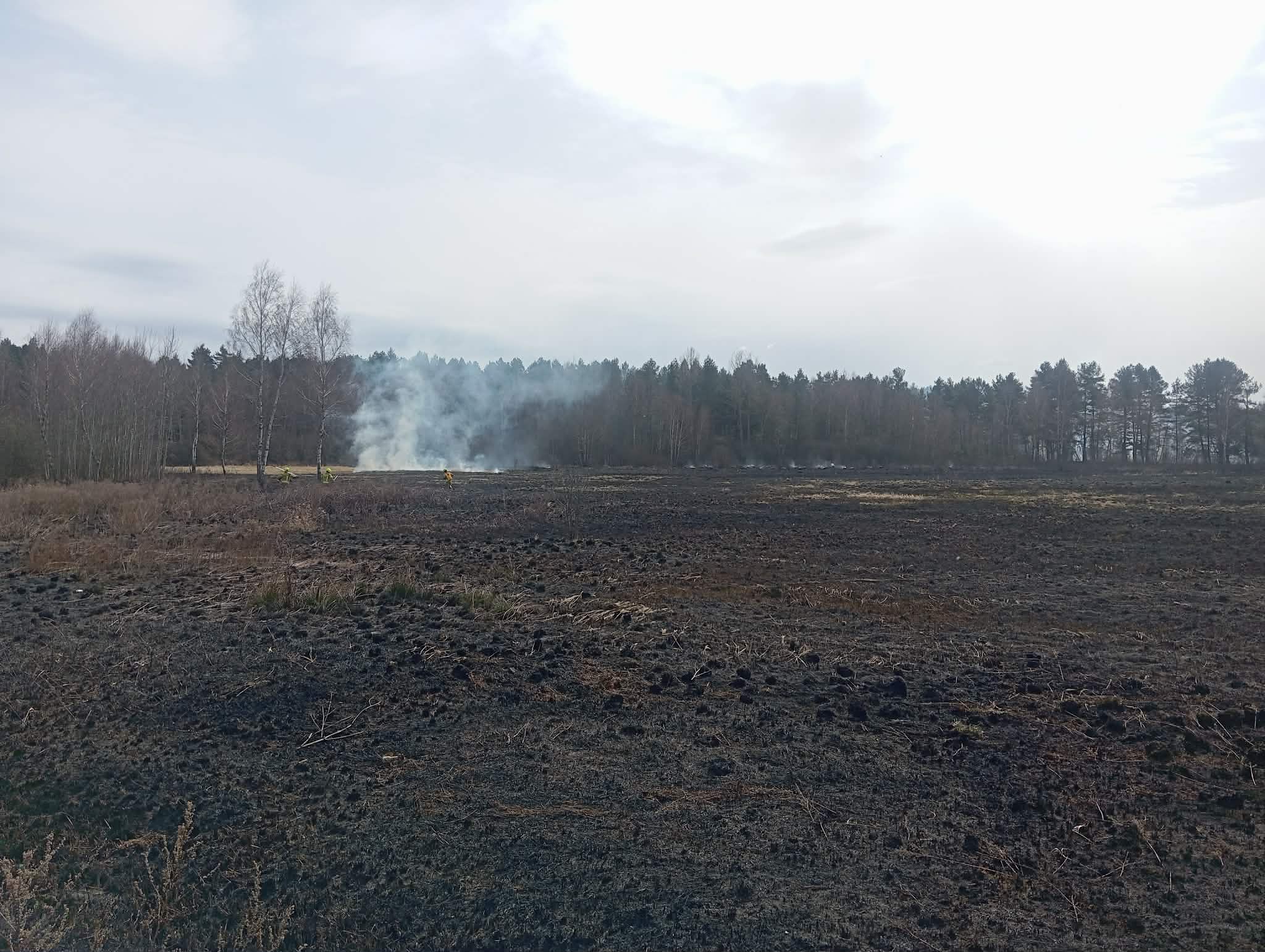 661336734_934487169222909_2264257989034492278_n