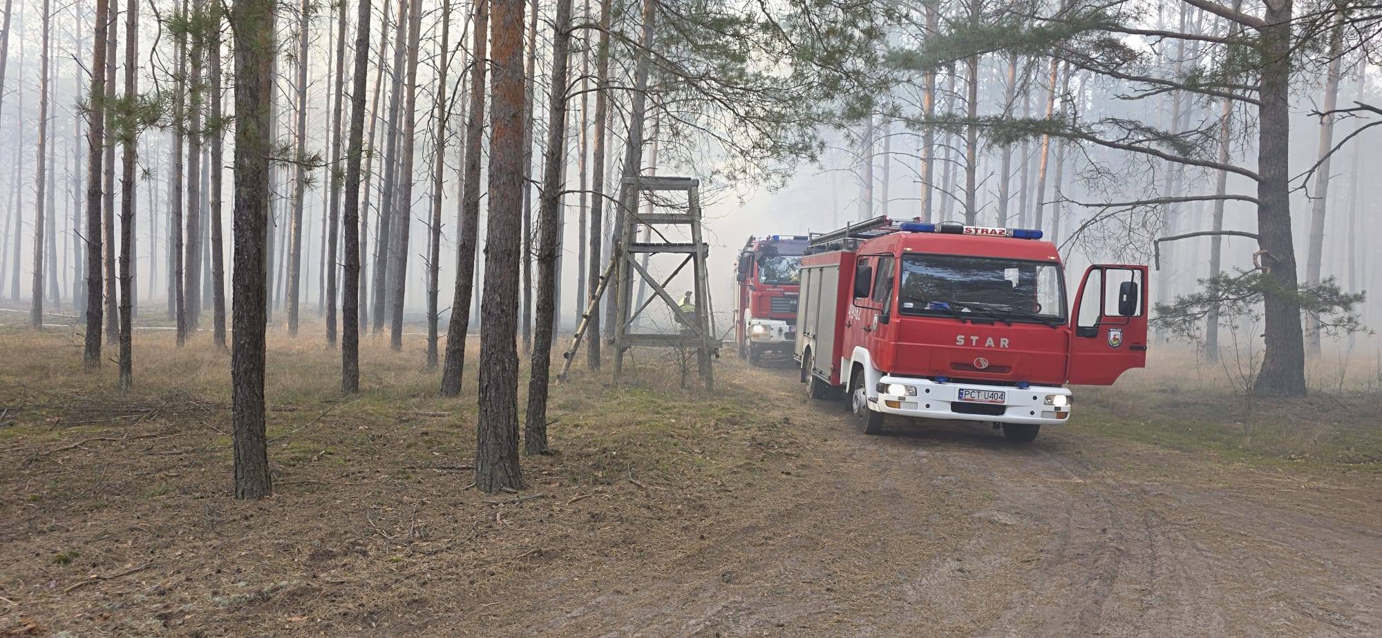 662503883_932296623114296_2147064388671832044_n