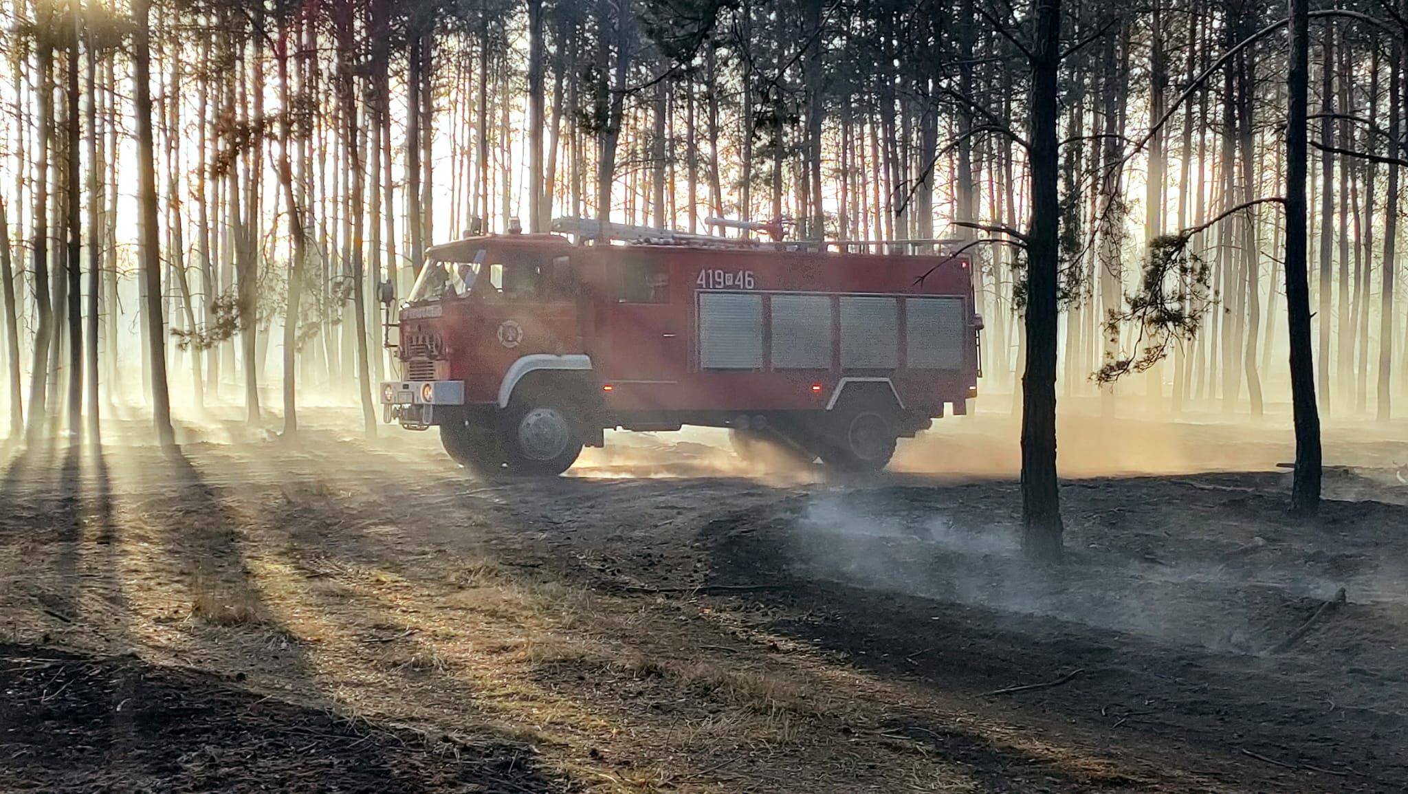 666466556_932296906447601_7542704328076513070_n