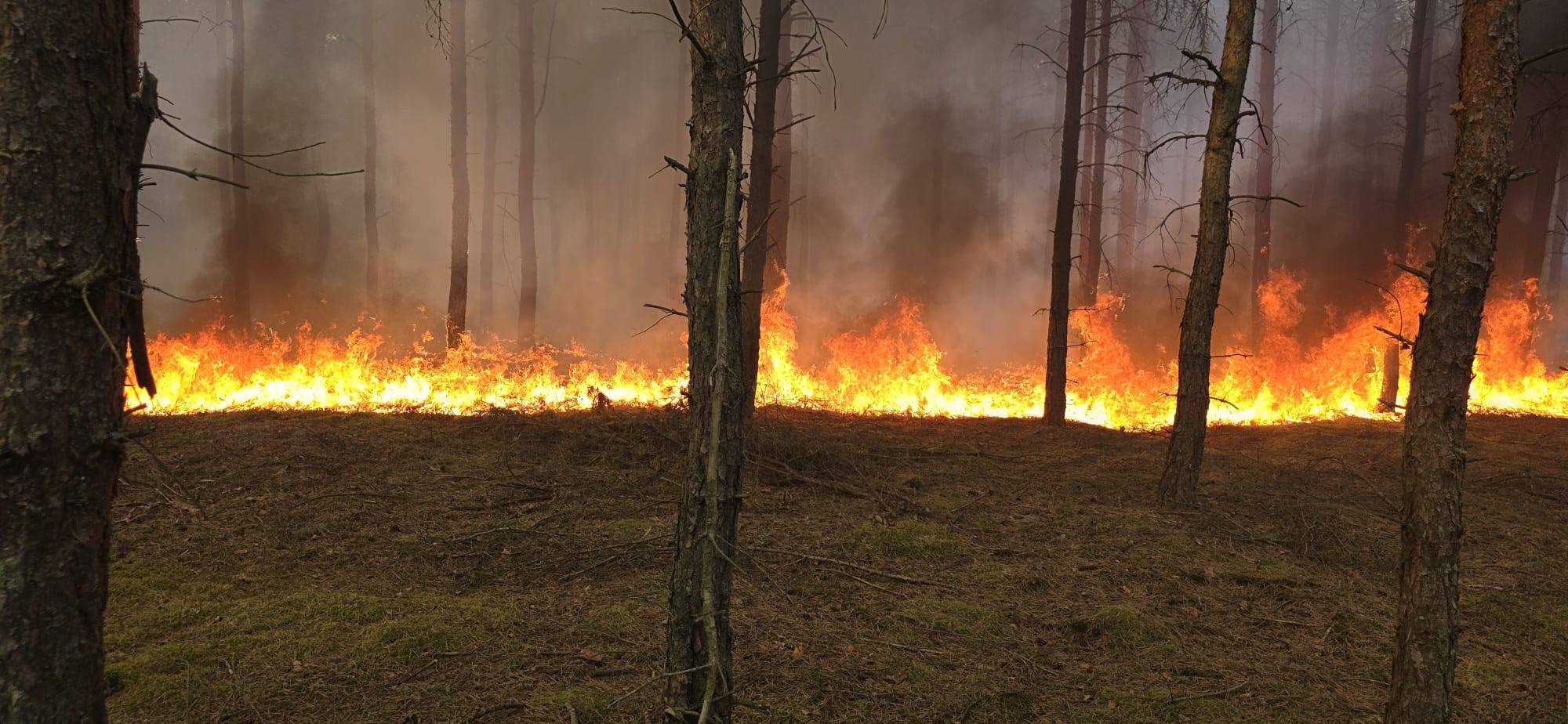 666510720_932296476447644_3077876008418215397_n